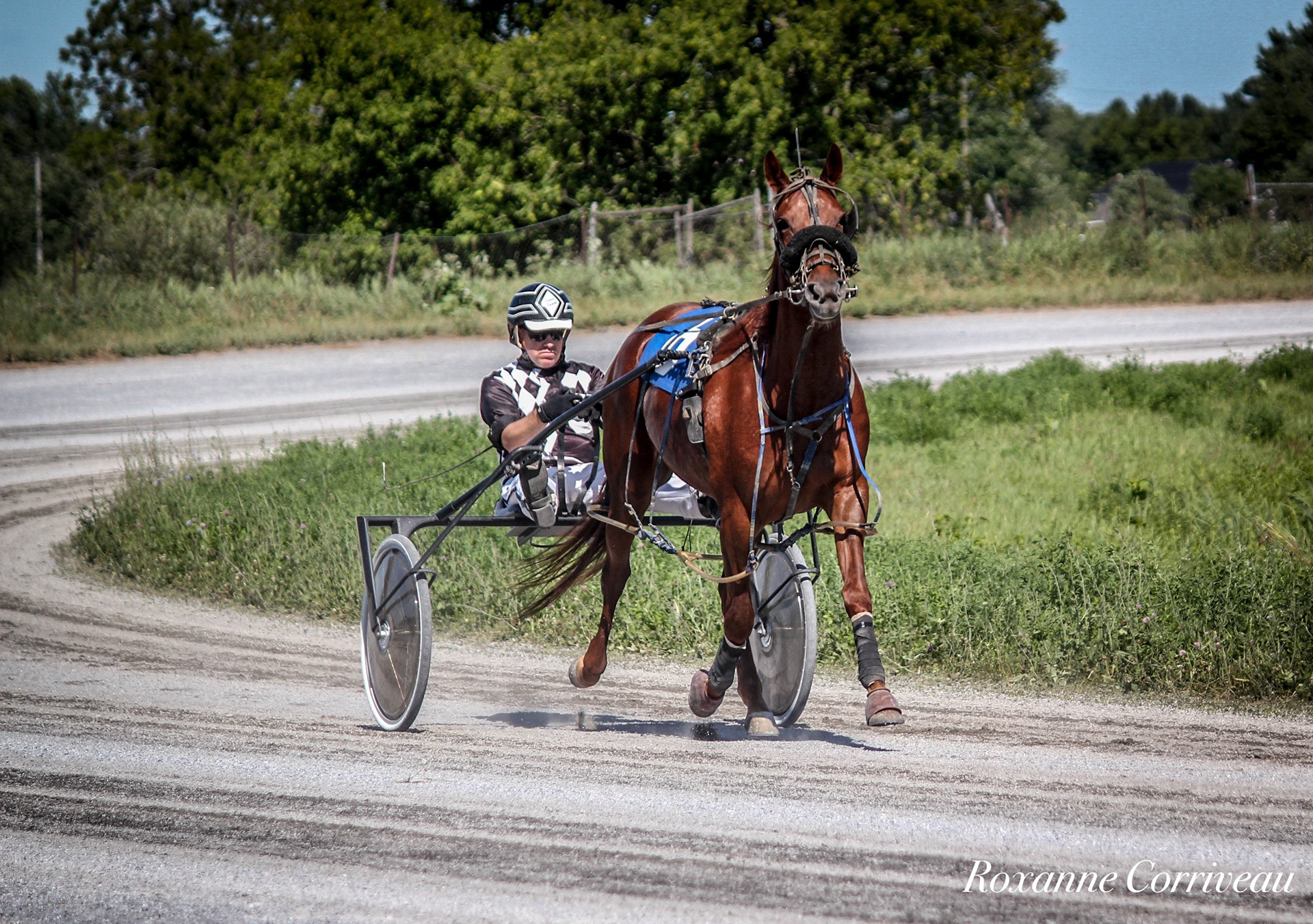 St-Hugues 7 juillet 2018 (163).jpg