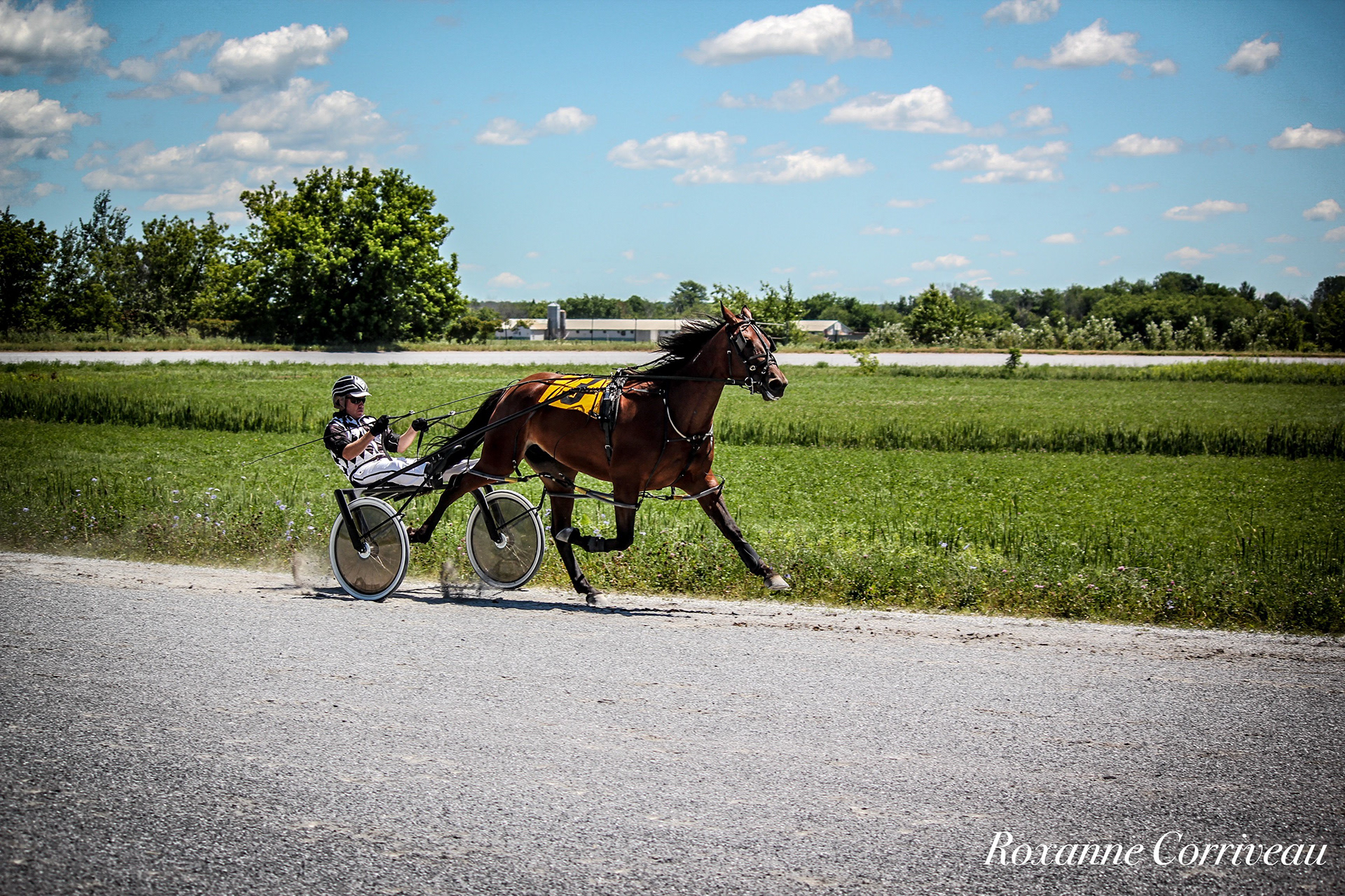 St-Hugues 7 juillet 2018 (12).jpg