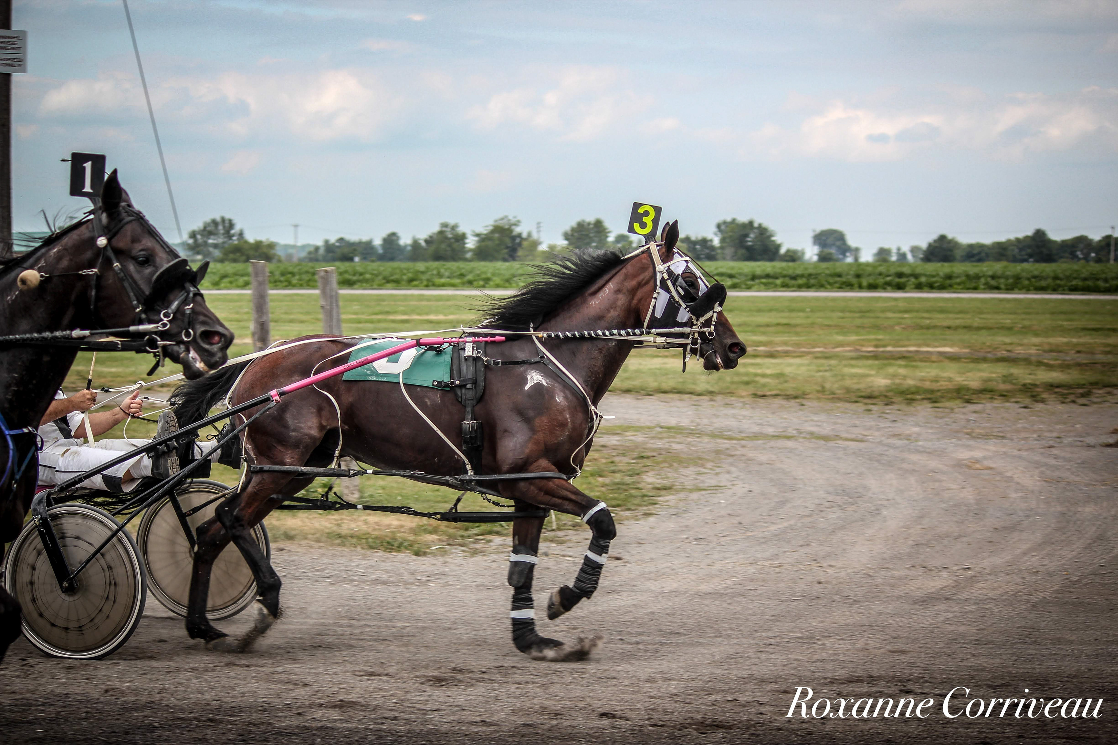 Ormstown 14 juillet 2018 (98).jpg