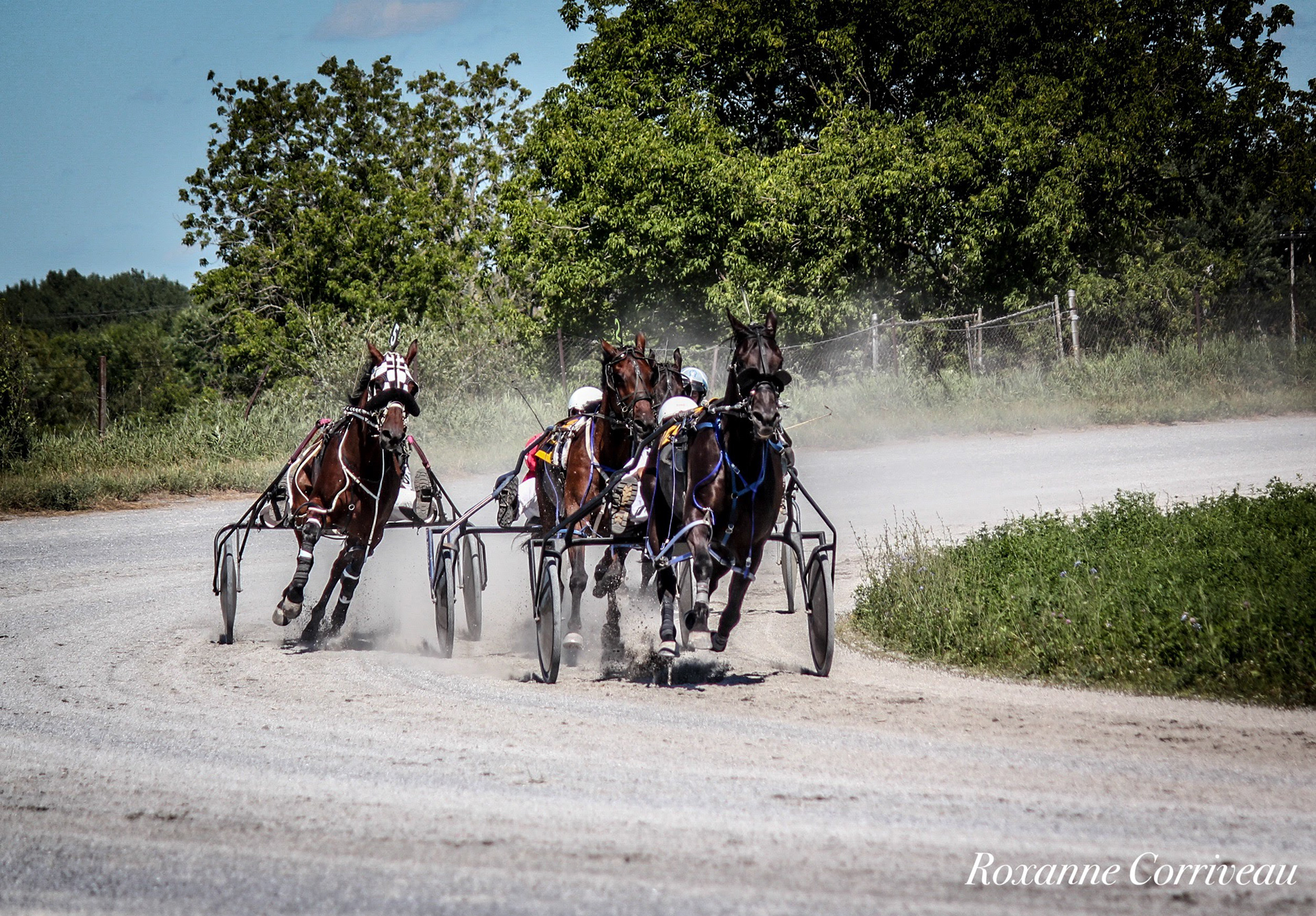St-Hugues 7 juillet 2018 (148).jpg