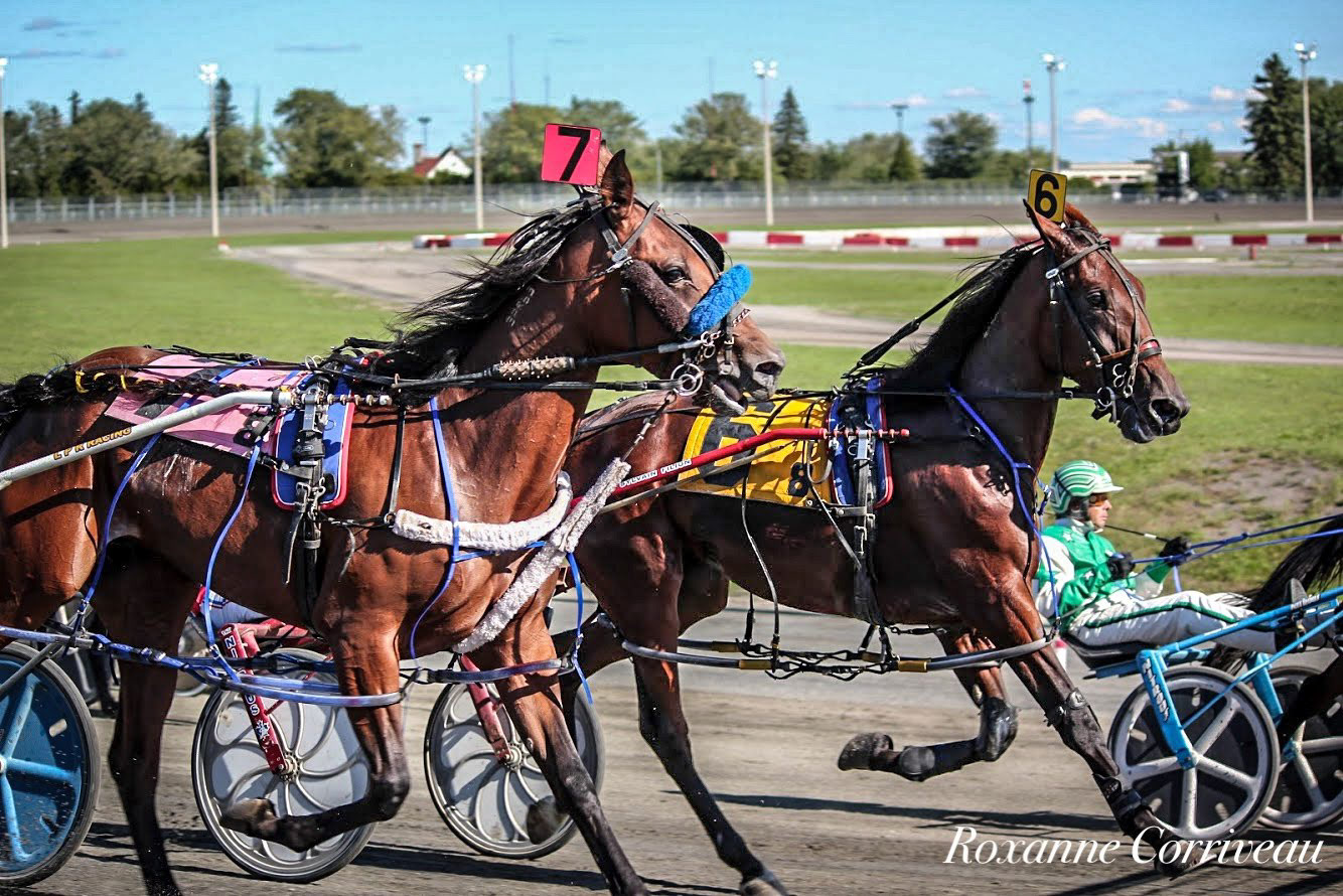 H3R 9 septembre 2018 (270).jpg