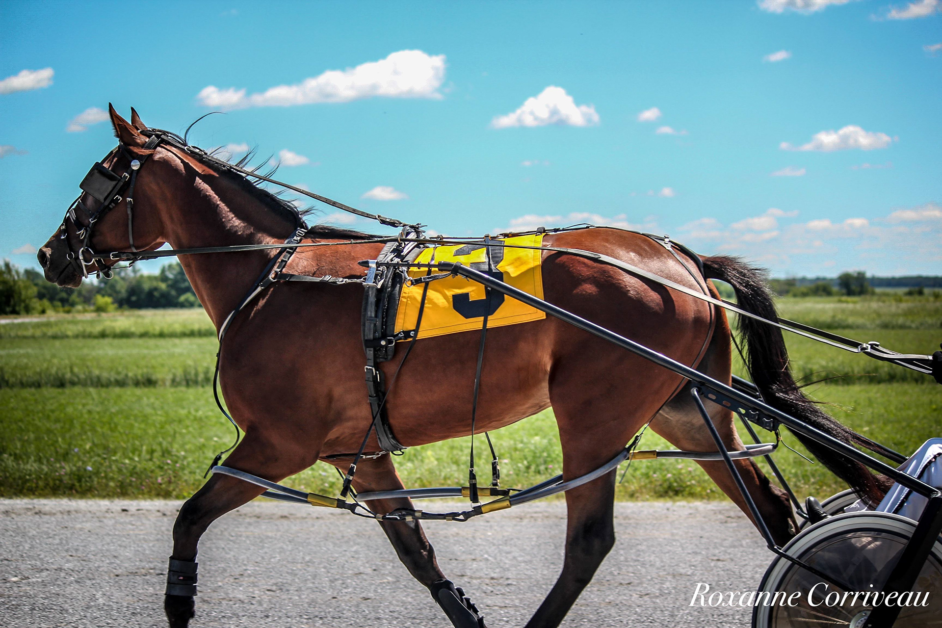 St-Hugues 7 juillet 2018 (3).jpg