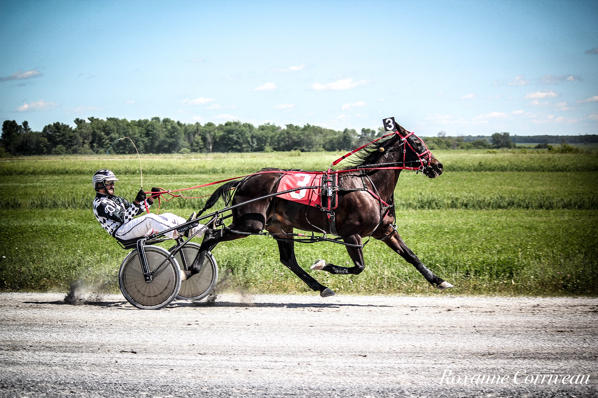 St-Hugues 7 juillet 2018 (128).jpg
