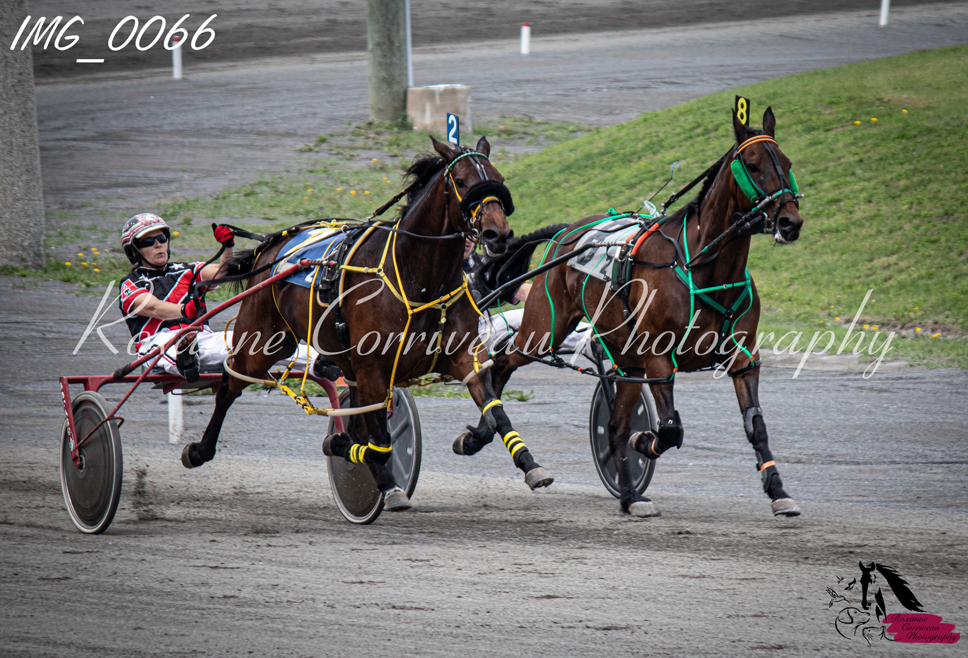 Jodykins et Adamncam