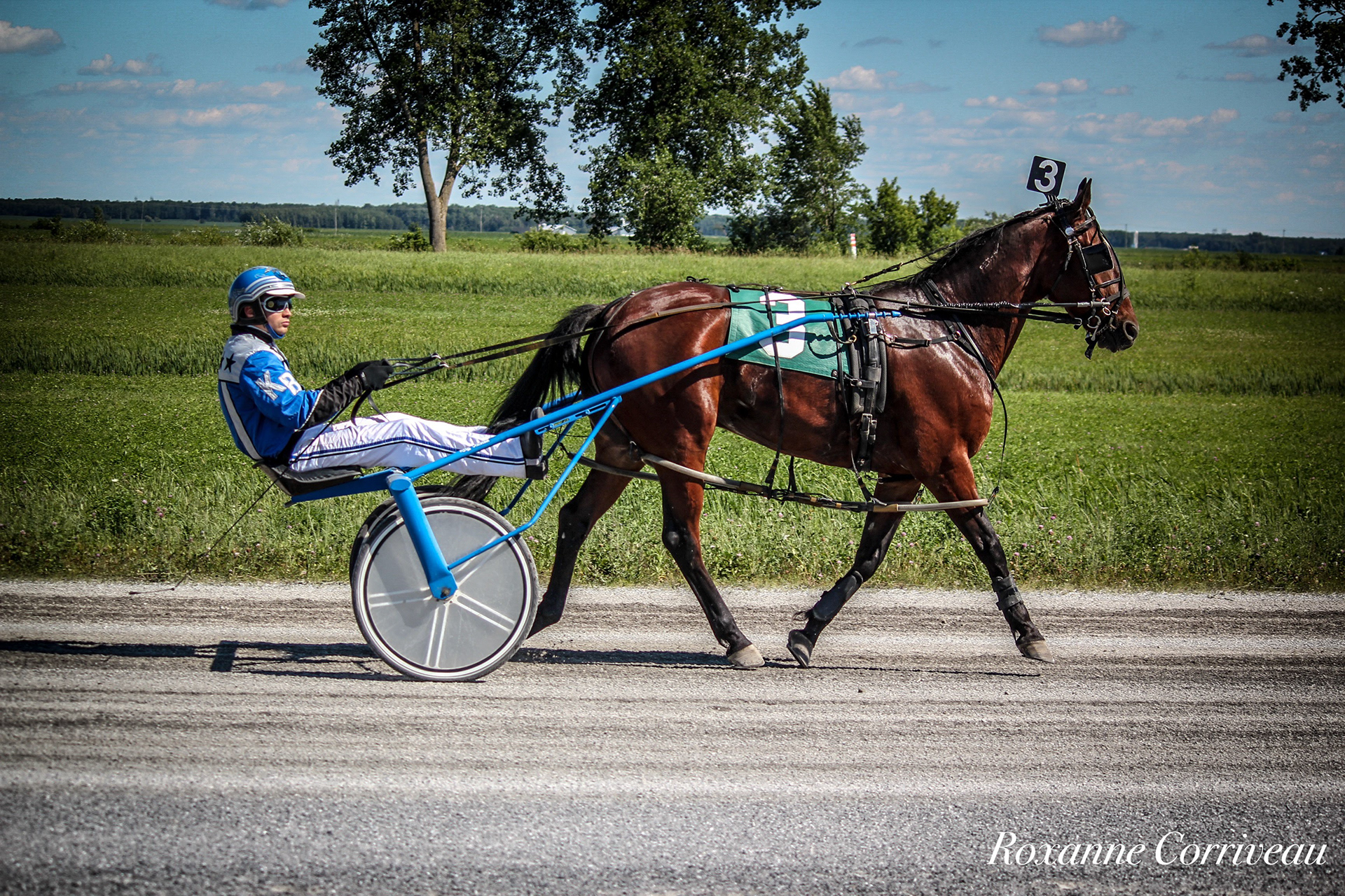 St-Hugues 7 juillet 2018 (189).jpg