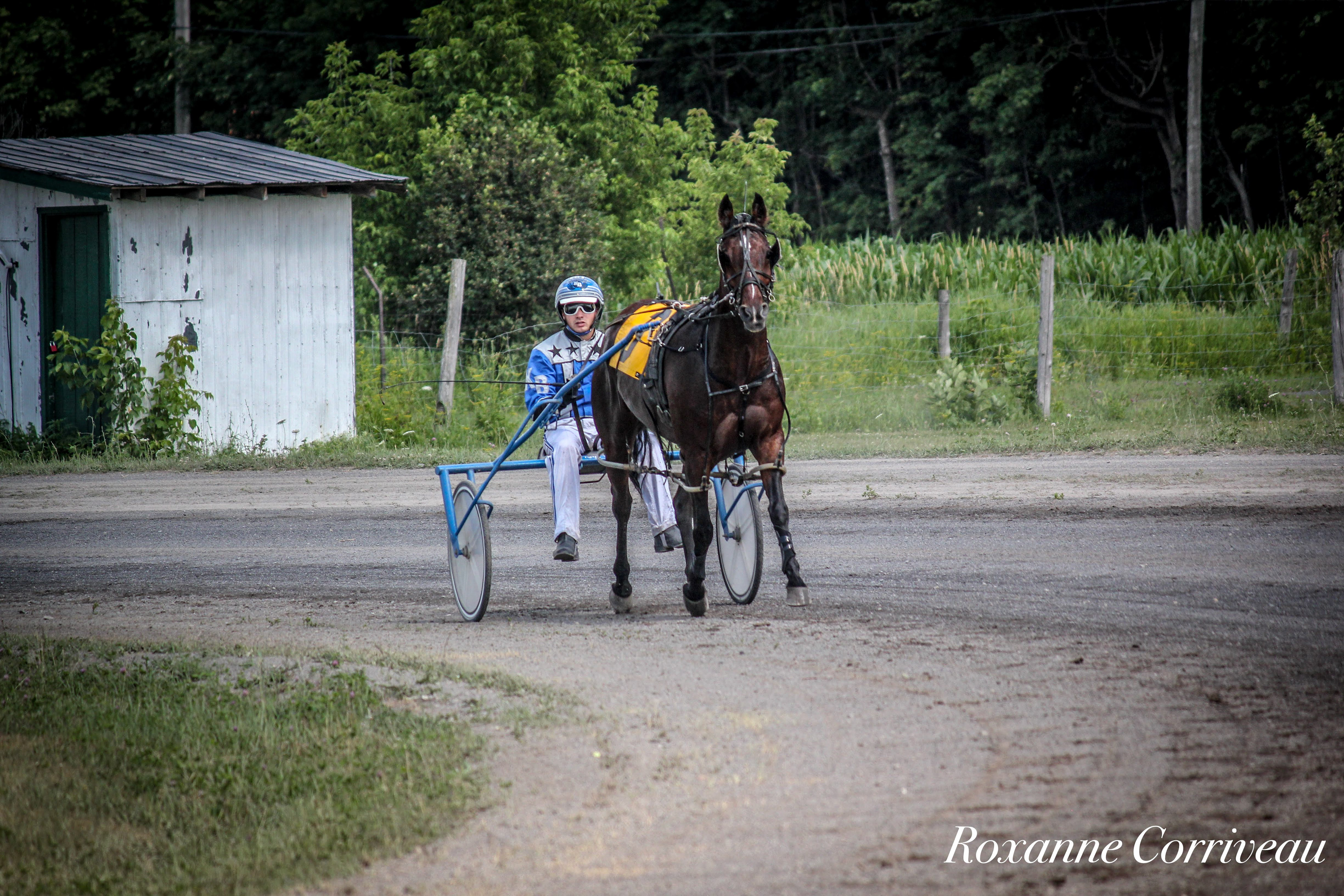 Ormstown 14 juillet 2018 (111).jpg