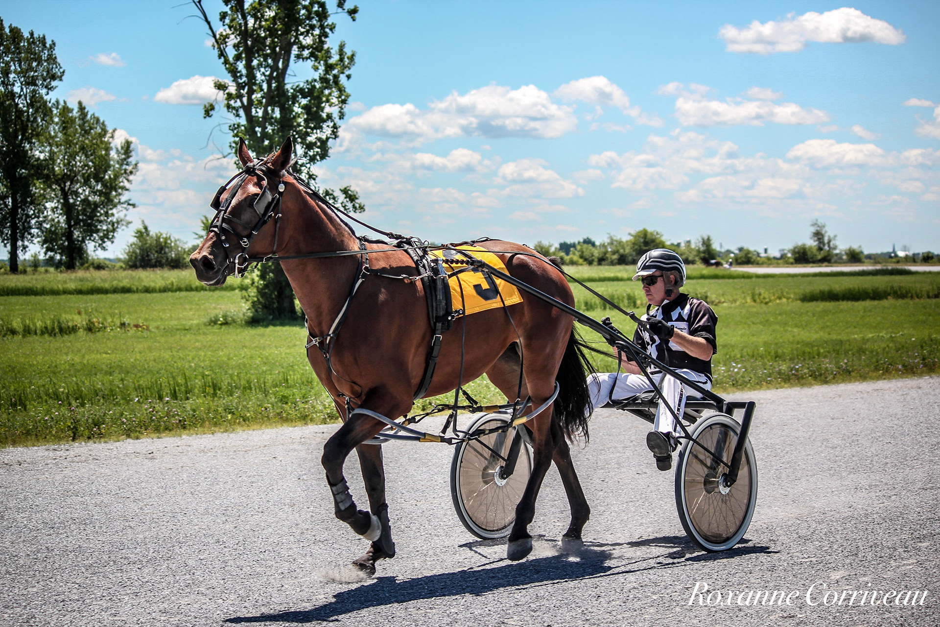 St-Hugues 7 juillet 2018 (8).jpg