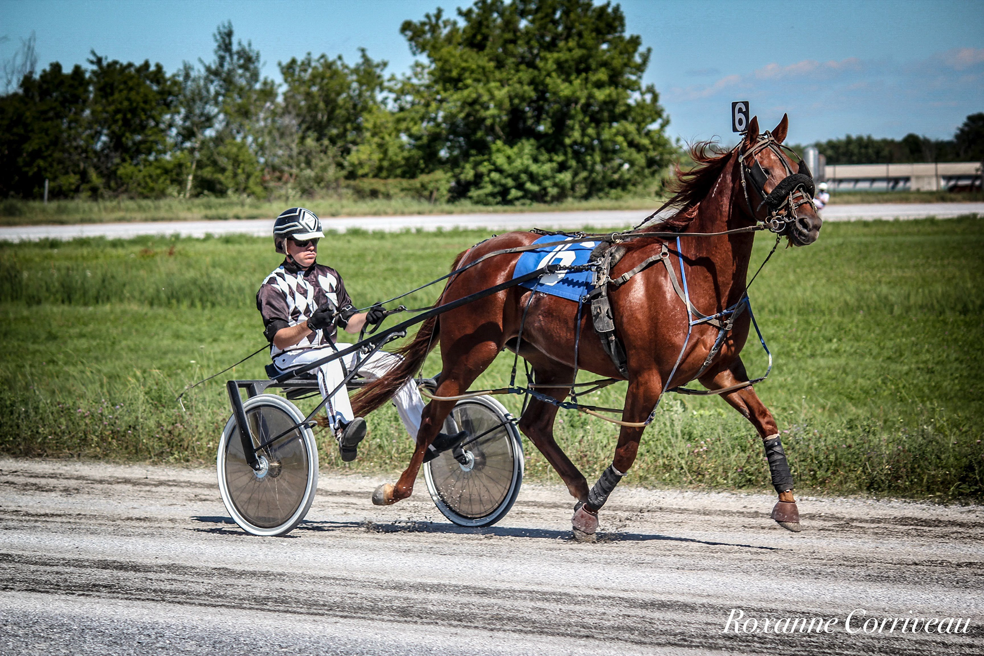 St-Hugues 7 juillet 2018 (169).jpg