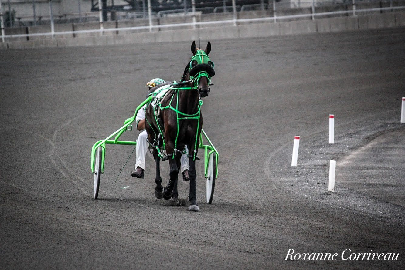 H3R 25 juillet 2018 (11)jpg