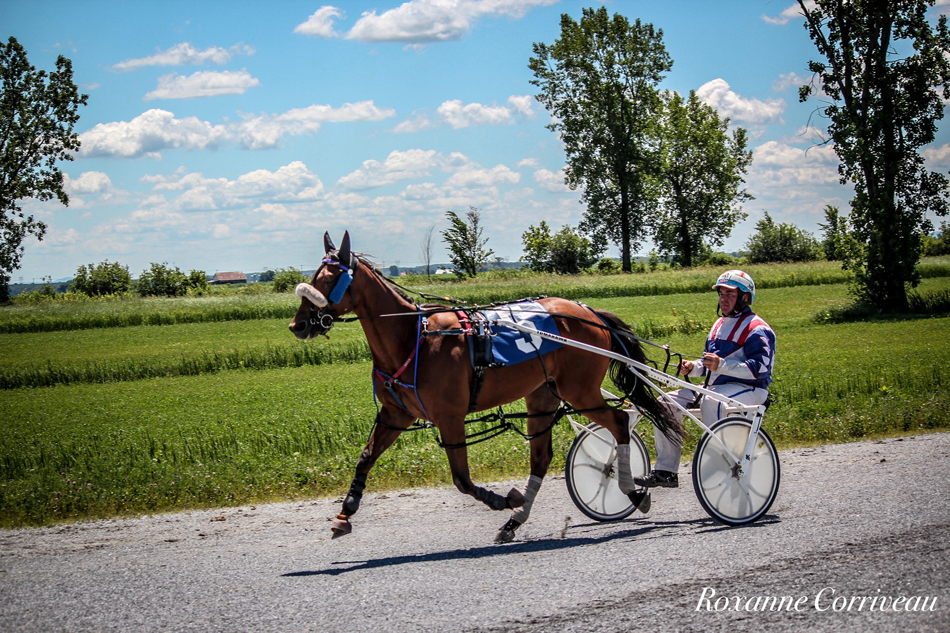 St-Hugues 7 juillet 2018 (19).jpg