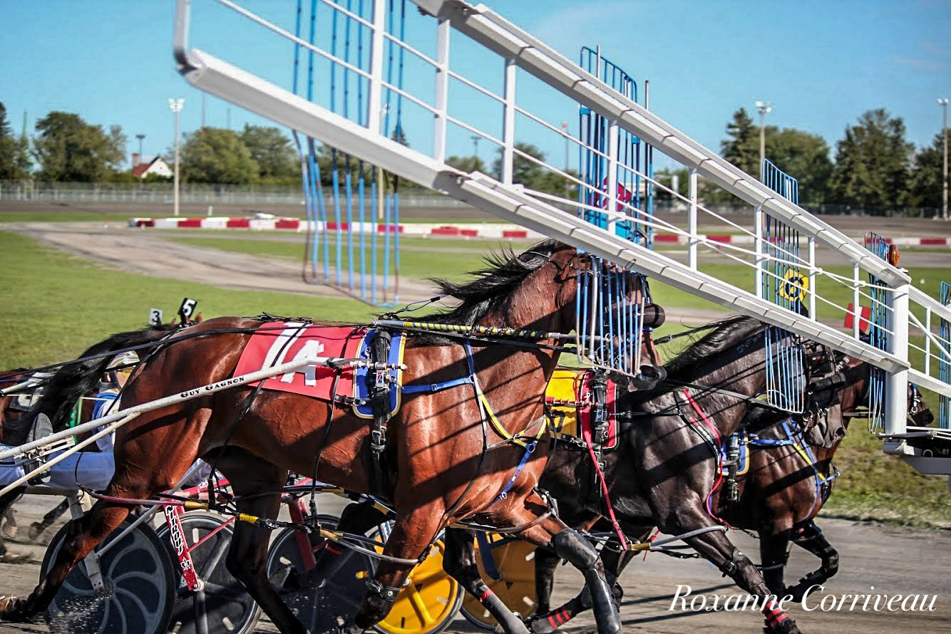 H3R 9 septembre 2018 (318).jpg