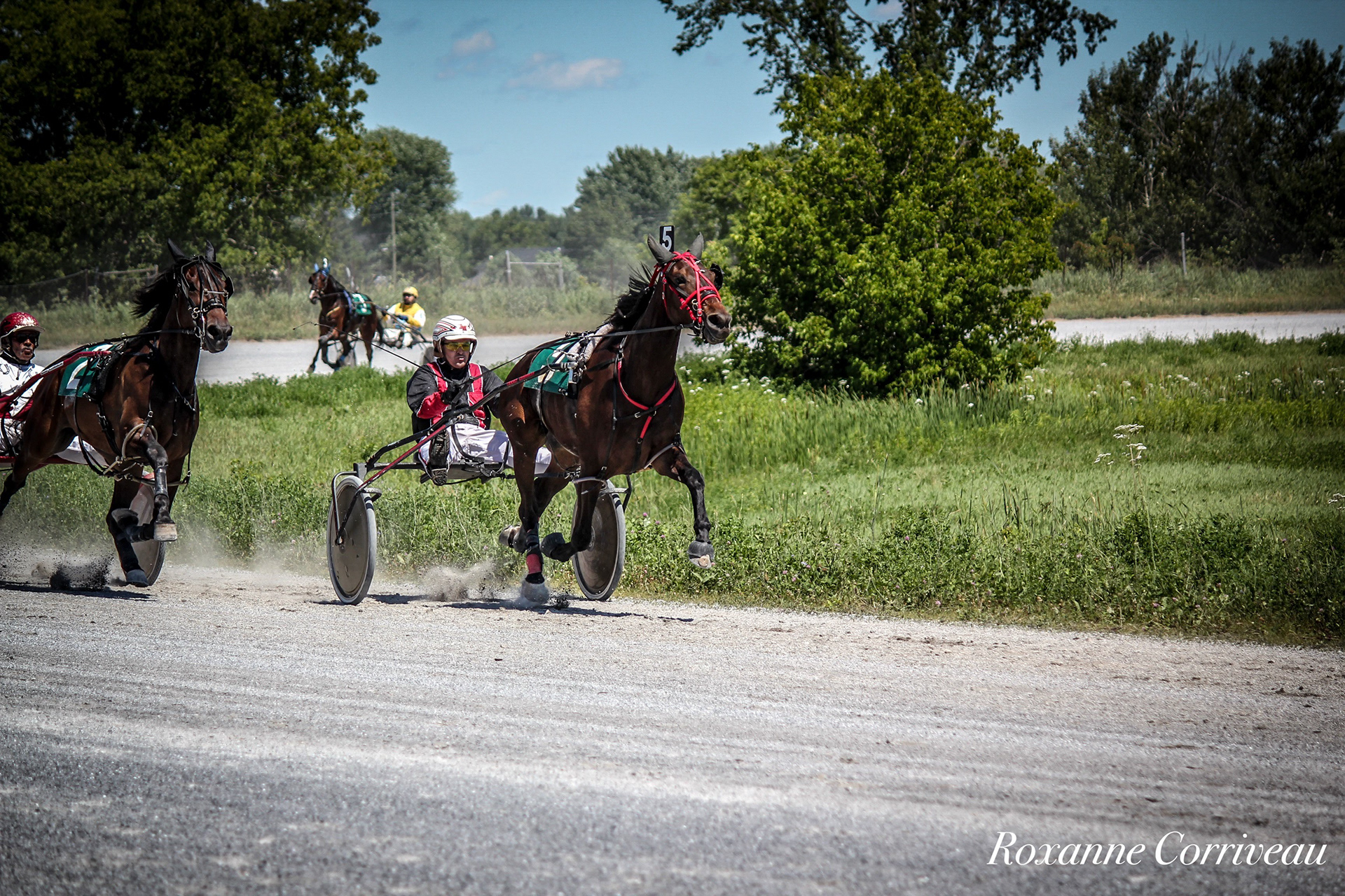 St-Hugues 7 juillet 2018 (103).jpg
