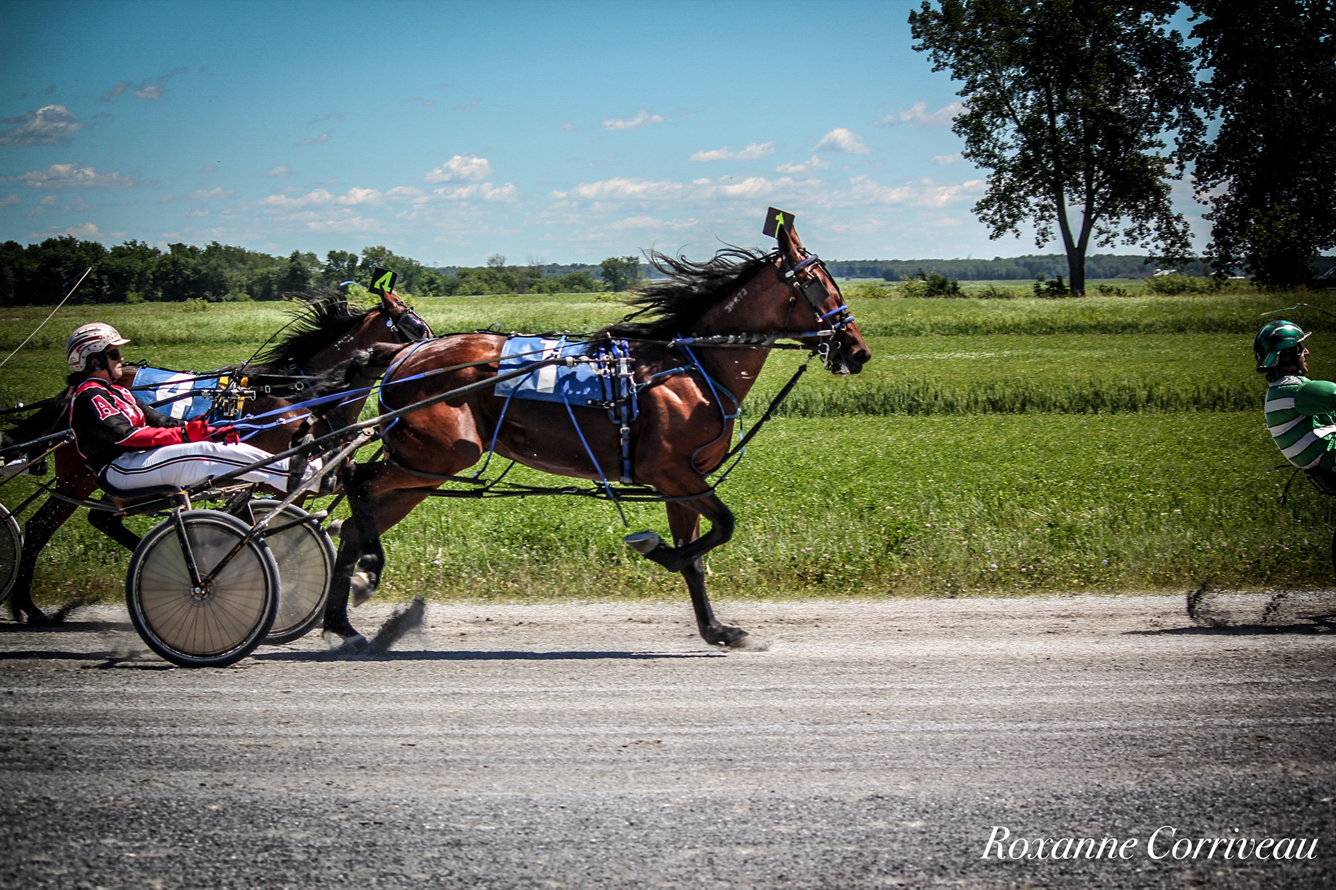 St-Hugues 7 juillet 2018 (98).jpg