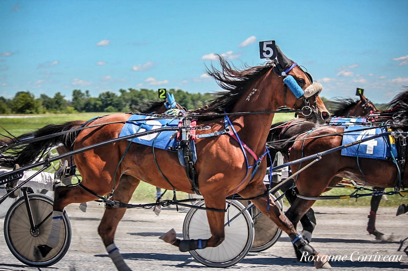 St-Hugues 7 juillet 2018 (87).jpg