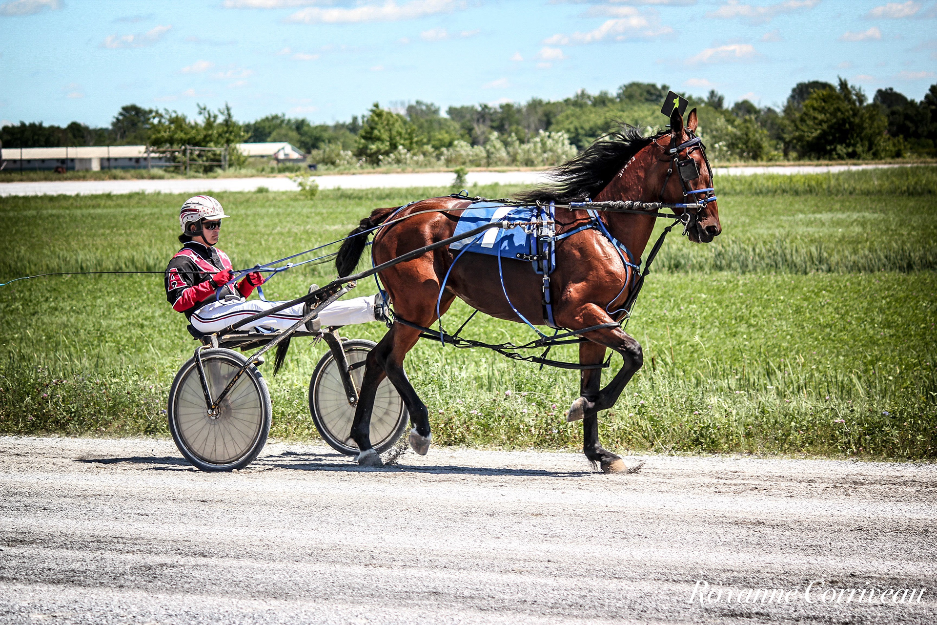St-Hugues 7 juillet 2018 (80).jpg