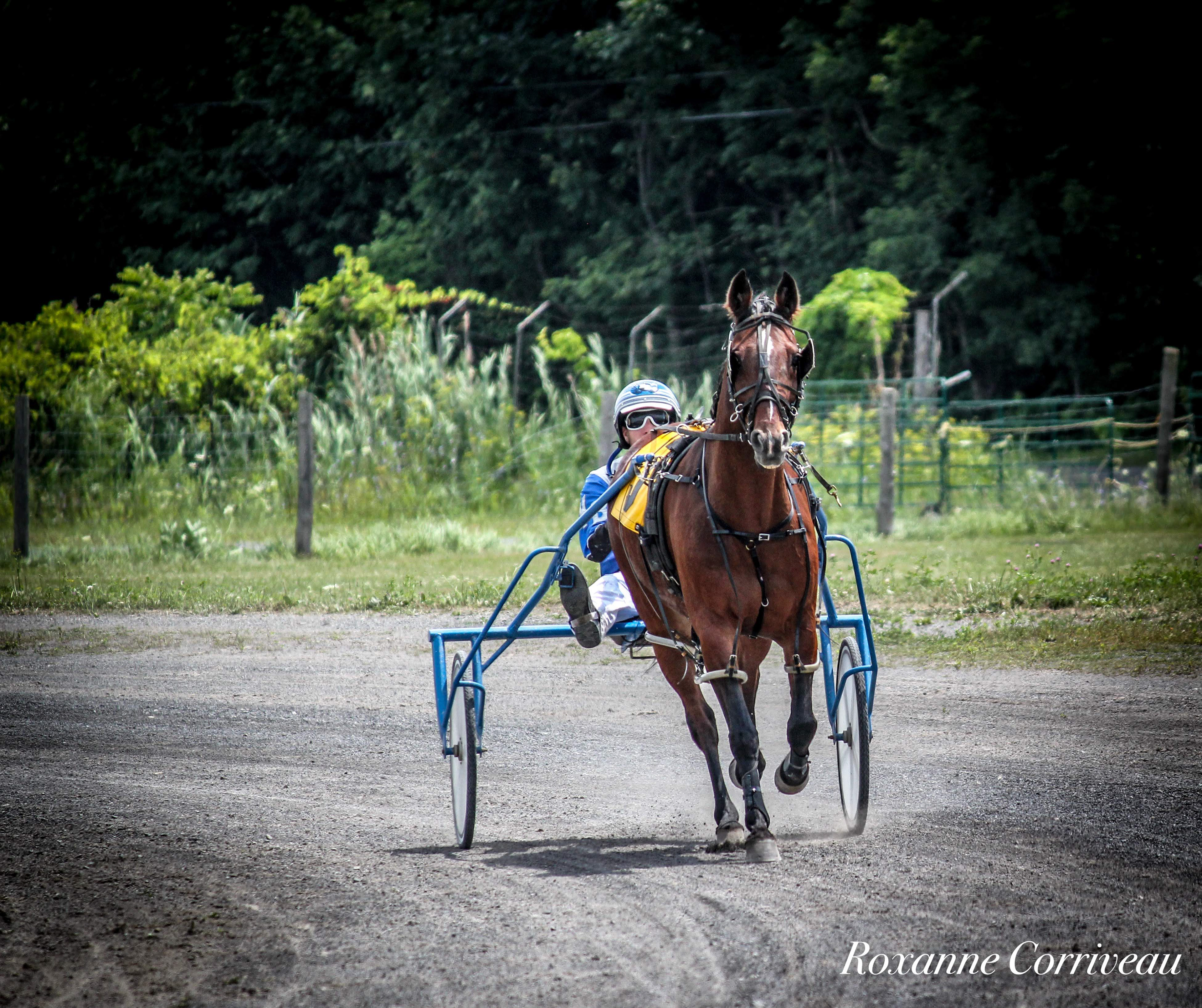Ormstown 14 juillet 2018 (17).jpg
