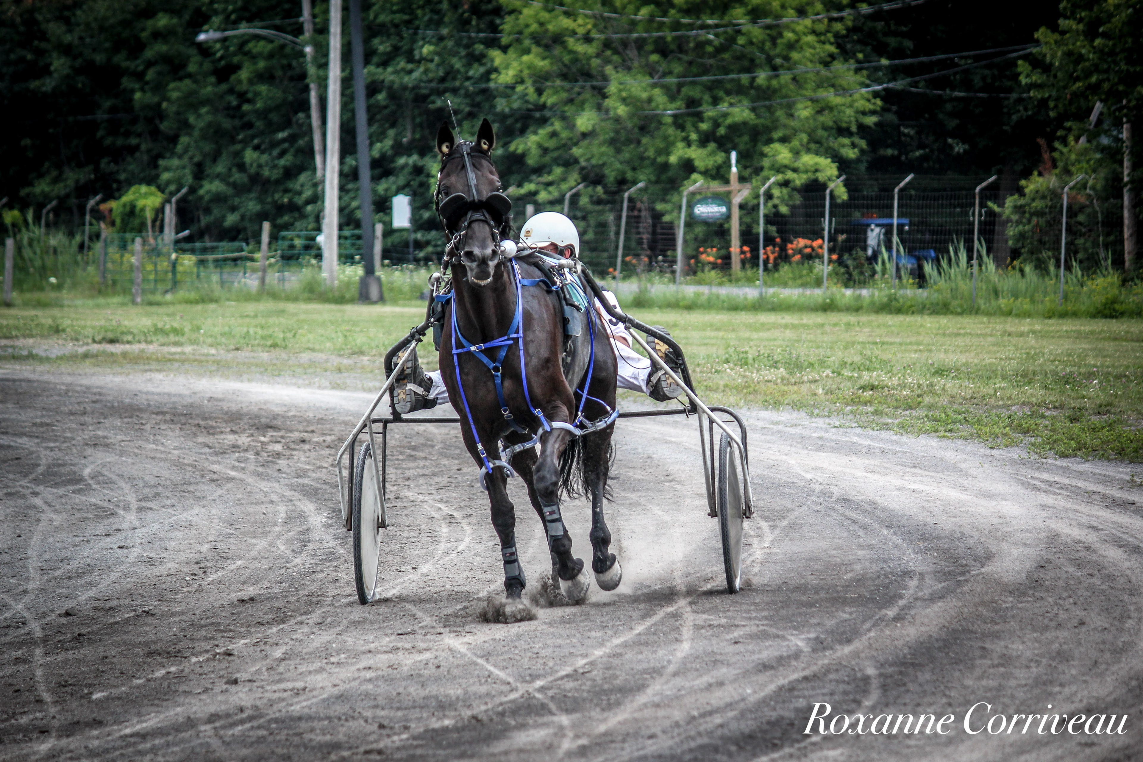Ormstown 14 juillet 2018 (89).jpg
