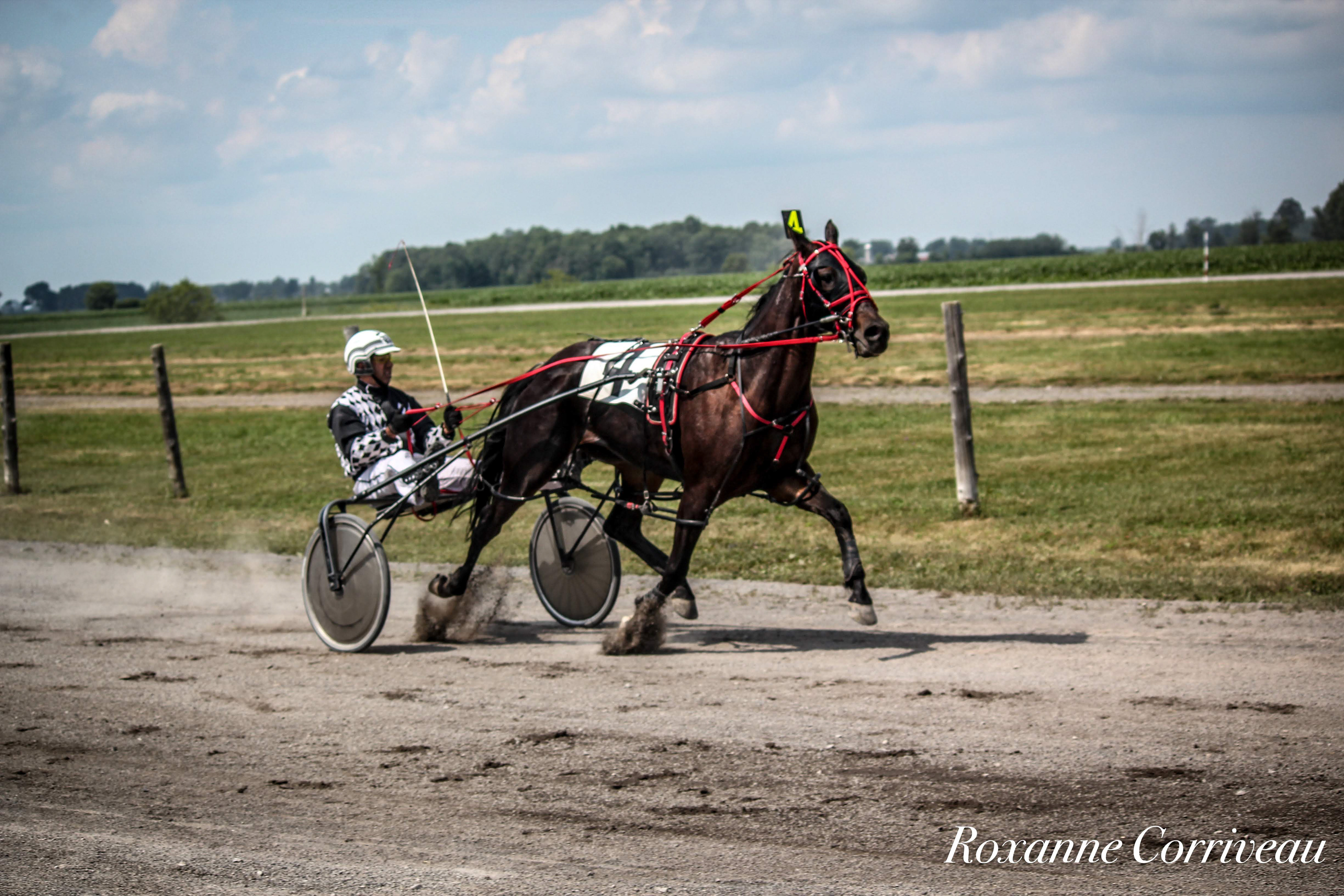 Ormstown 14 juillet 2018 (108).jpg