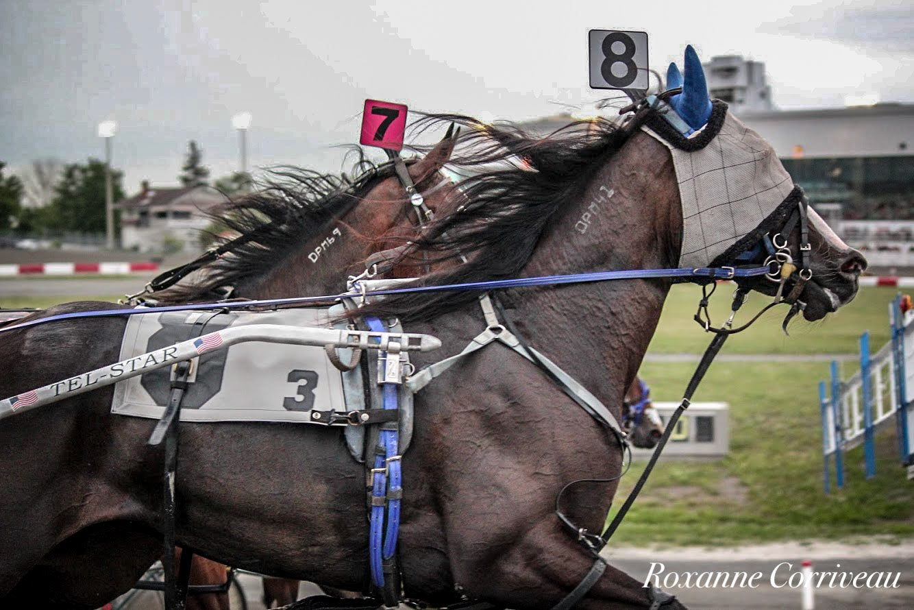 H3R 25 juillet 2018 (53)jpg