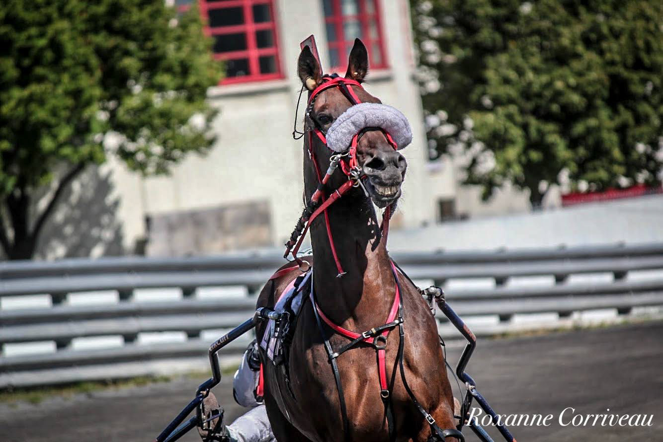 H3R 9 septembre 2018 (217).jpg