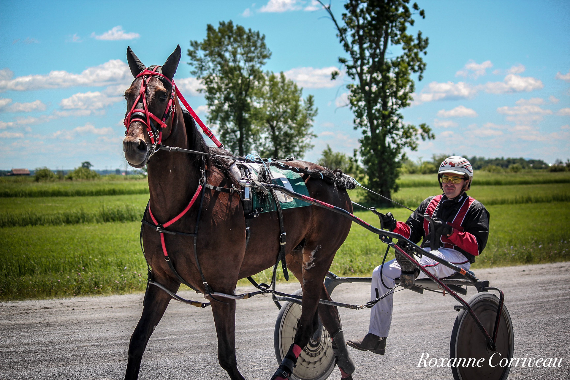 St-Hugues 7 juillet 2018 (53).jpg