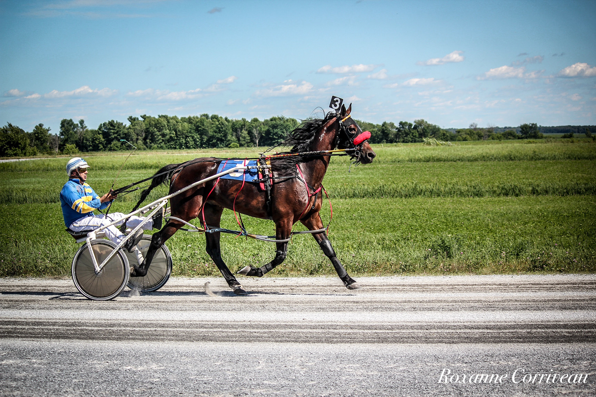 St-Hugues 7 juillet 2018 (158).jpg
