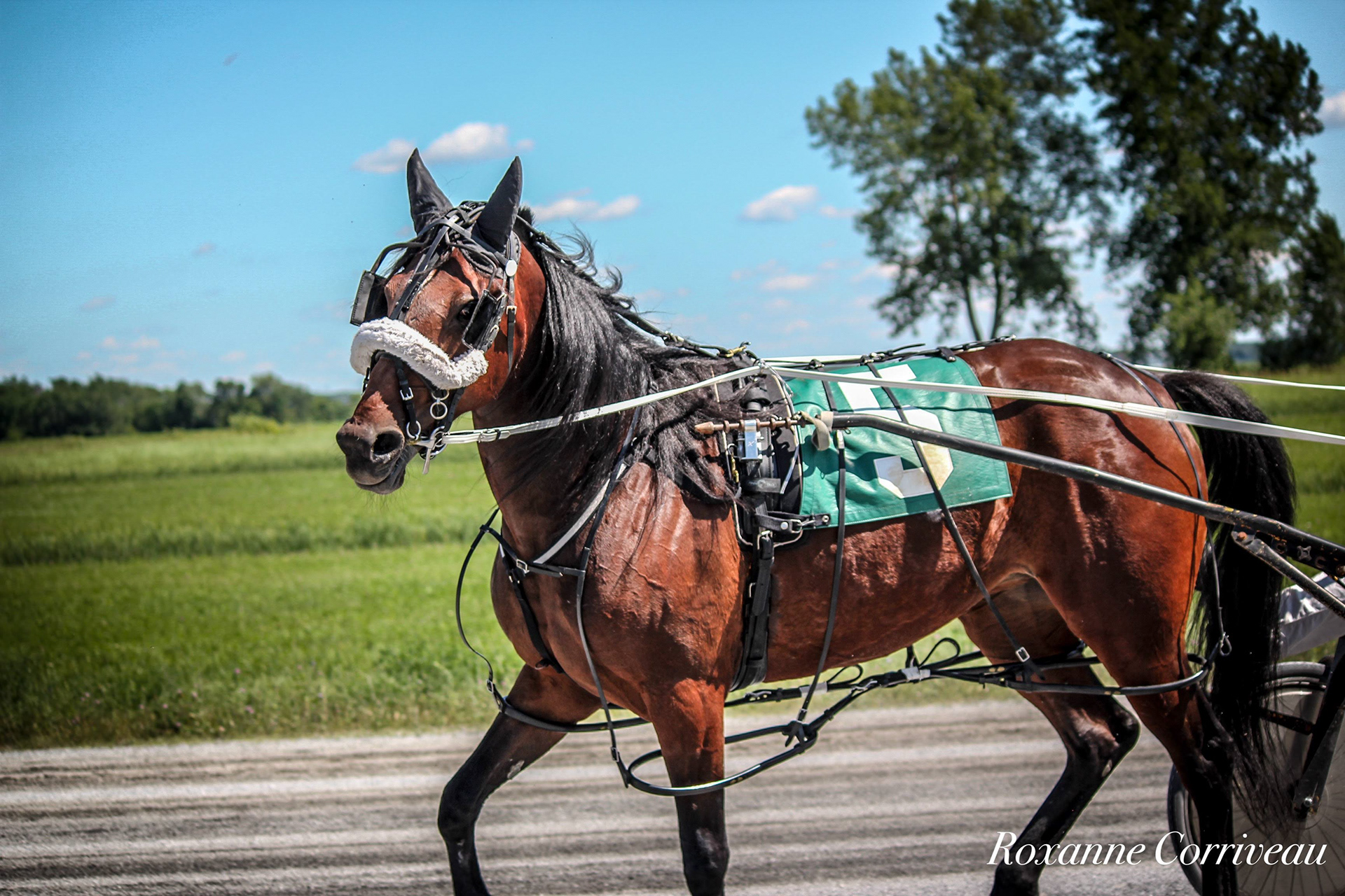 St-Hugues 7 juillet 2018 (131).jpg