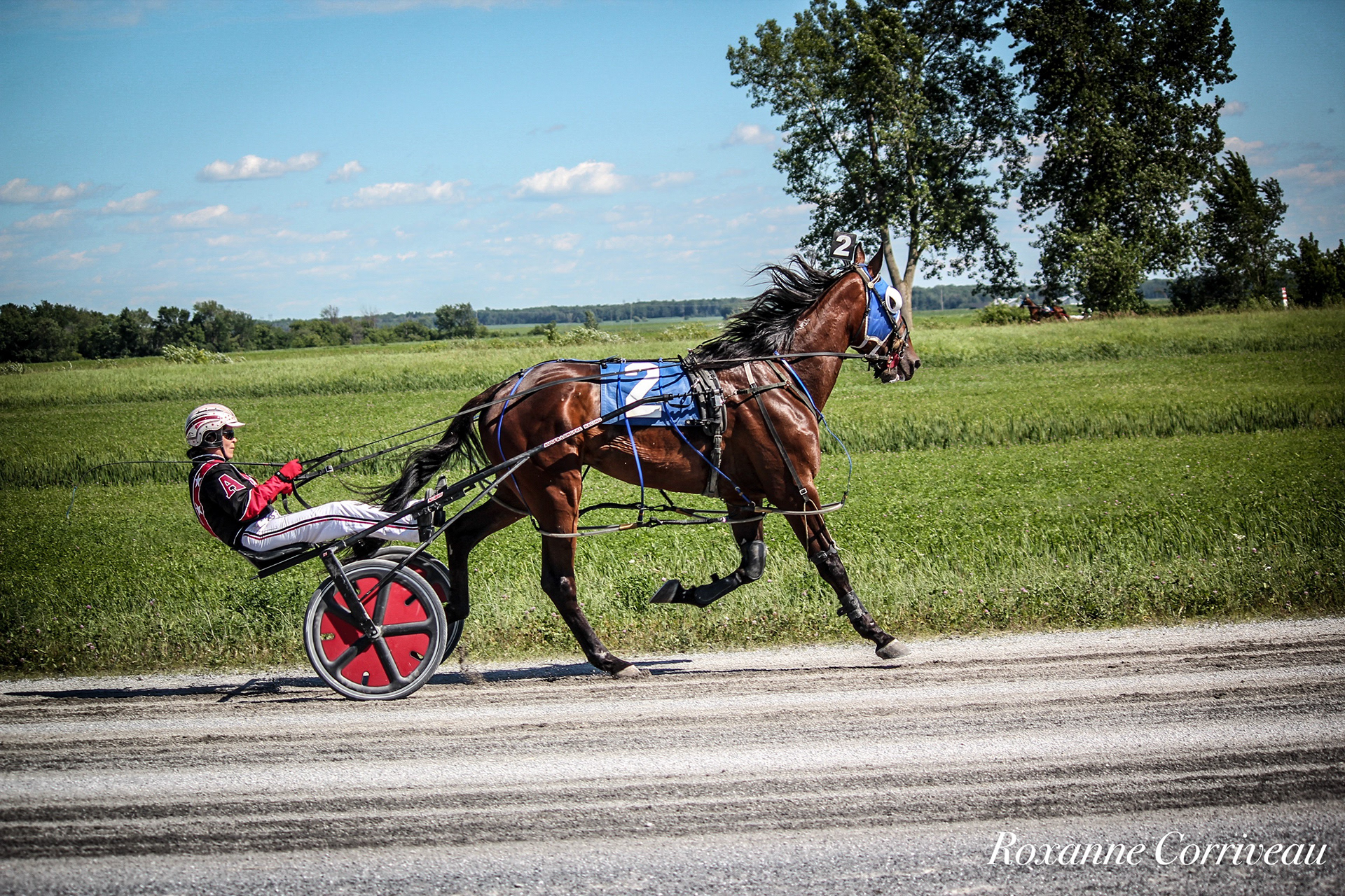St-Hugues 7 juillet 2018 (166).jpg