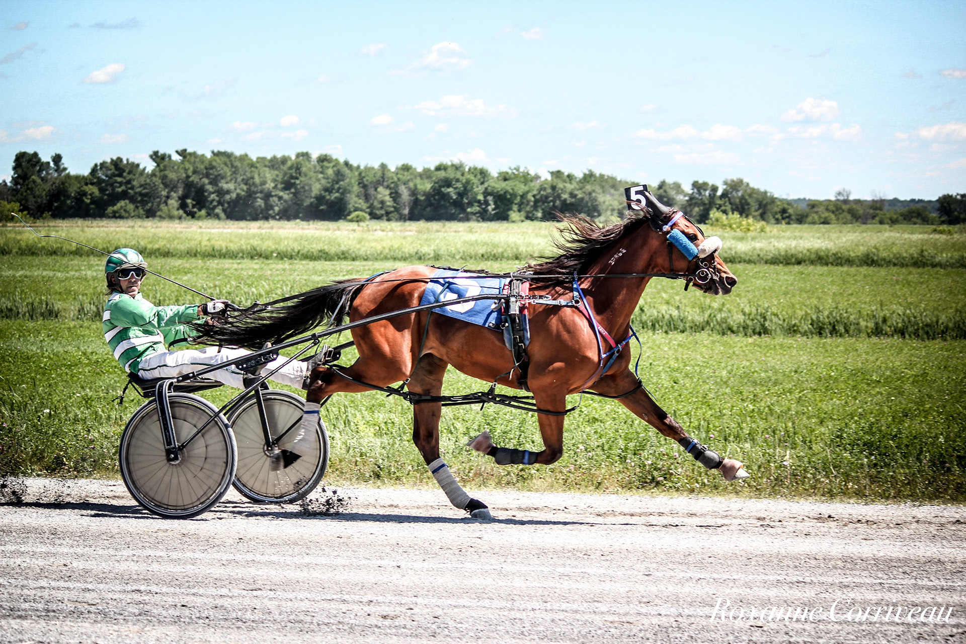 St-Hugues 7 juillet 2018 (97).jpg