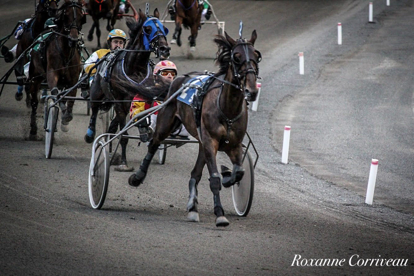 H3R 25 juillet 2018 (103)jpg