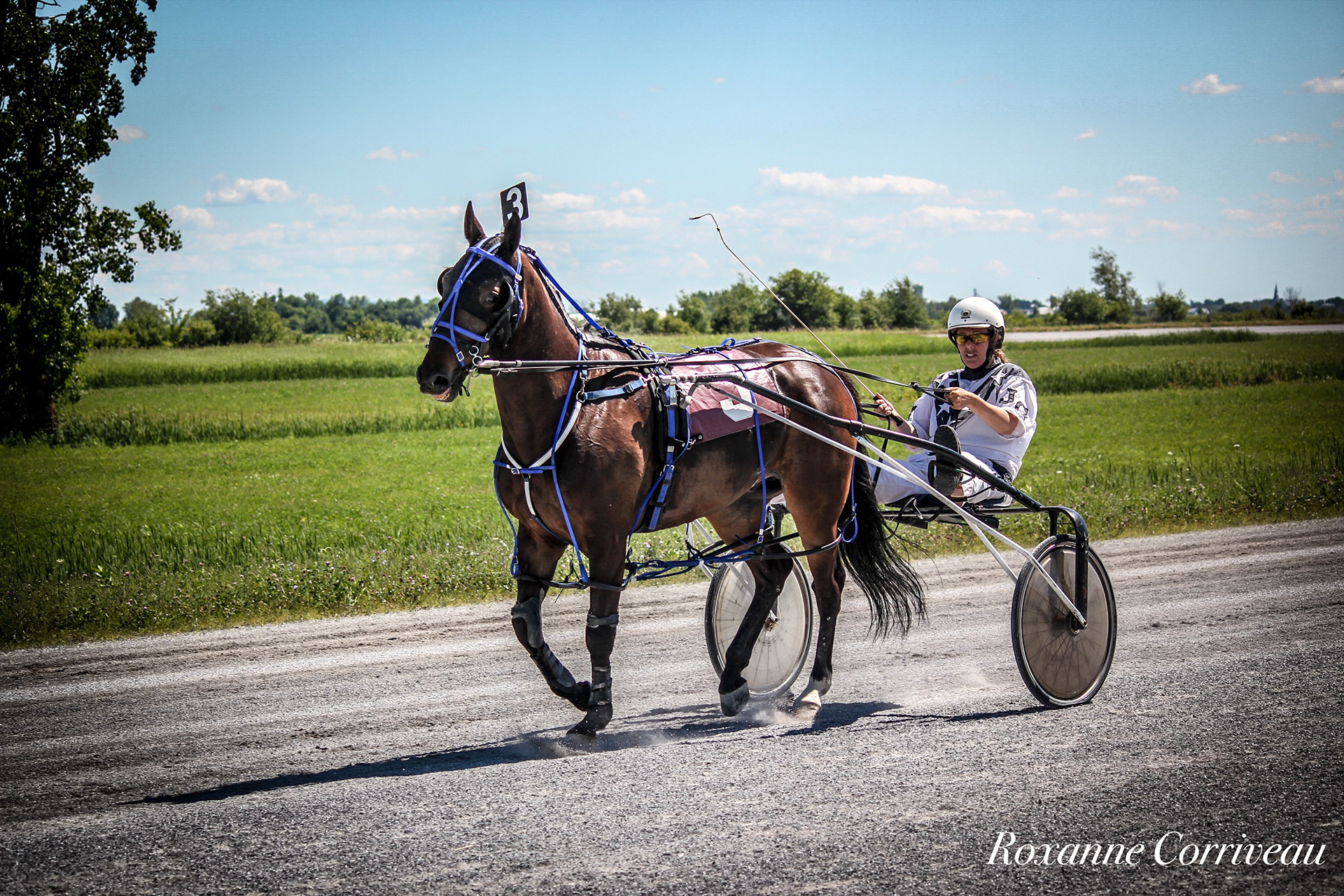 St-Hugues 7 juillet 2018 (133).jpg