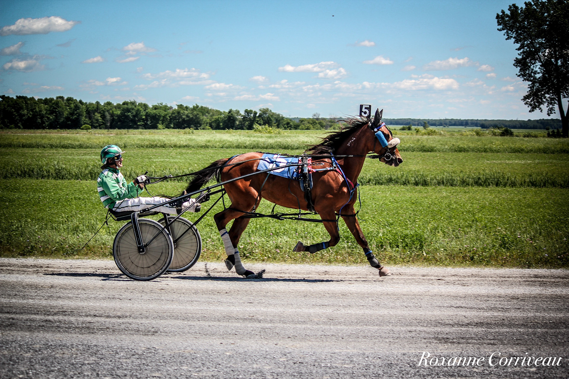 St-Hugues 7 juillet 2018 (83).jpg