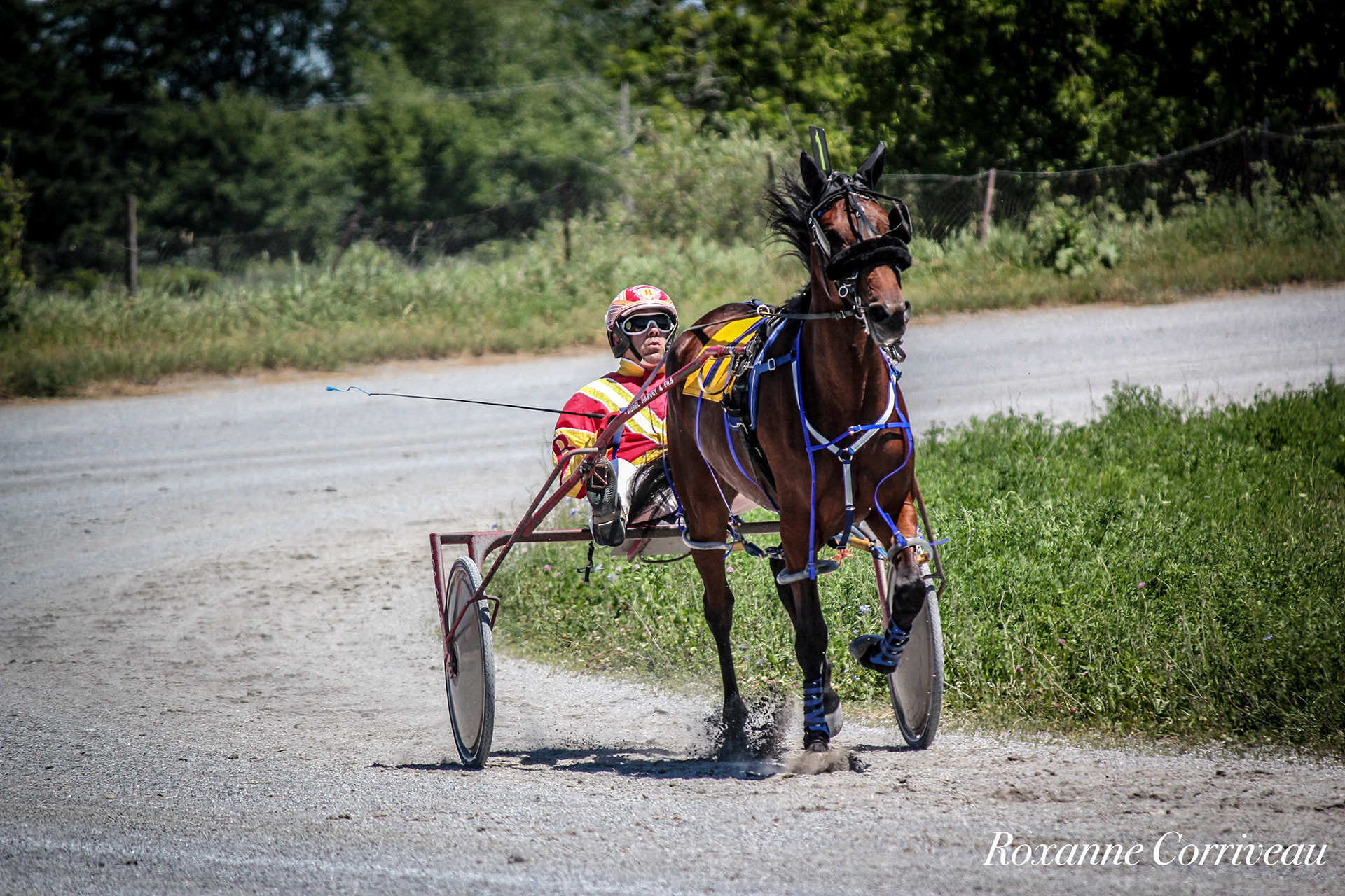 St-Hugues 7 juillet 2018 (59).jpg