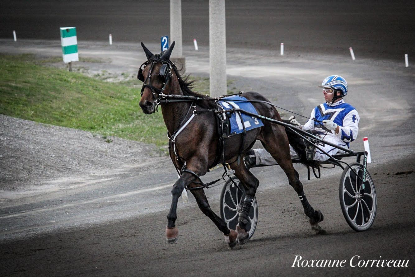 H3R 25 juillet 2018 (44)jpg