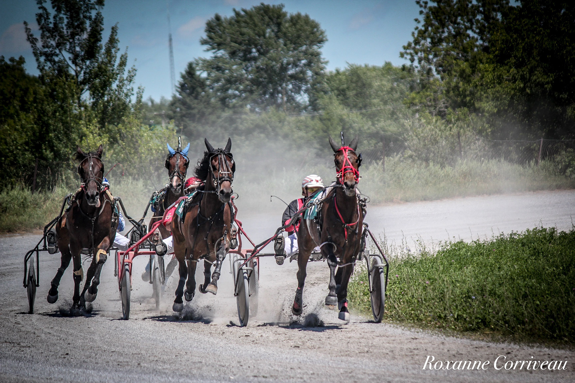 St-Hugues 7 juillet 2018 (100).jpg
