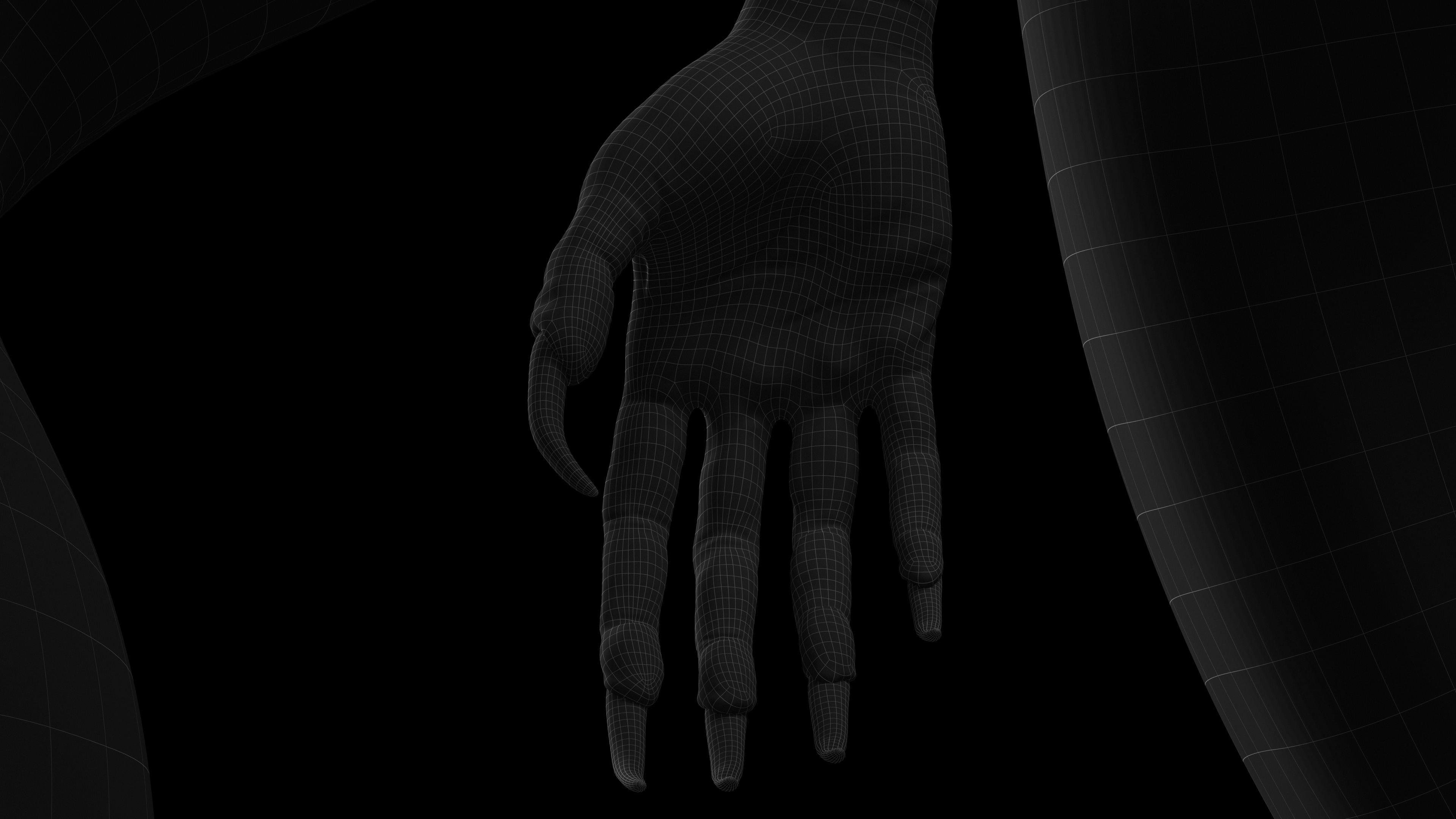 Wireframe Hands