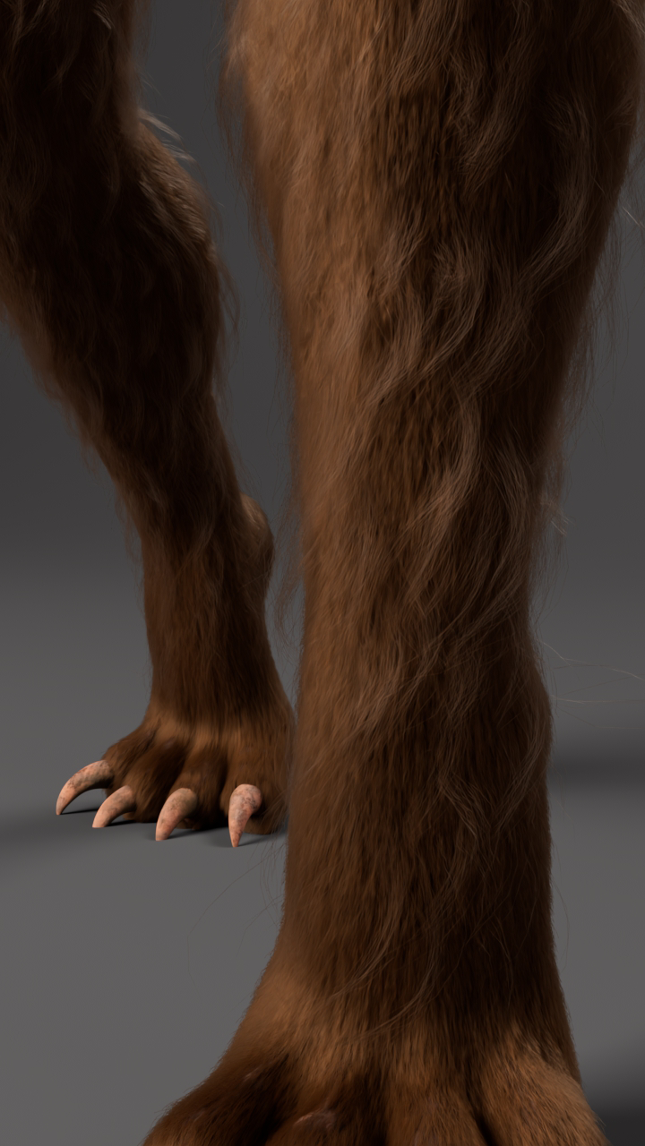 Paws CloseUp
