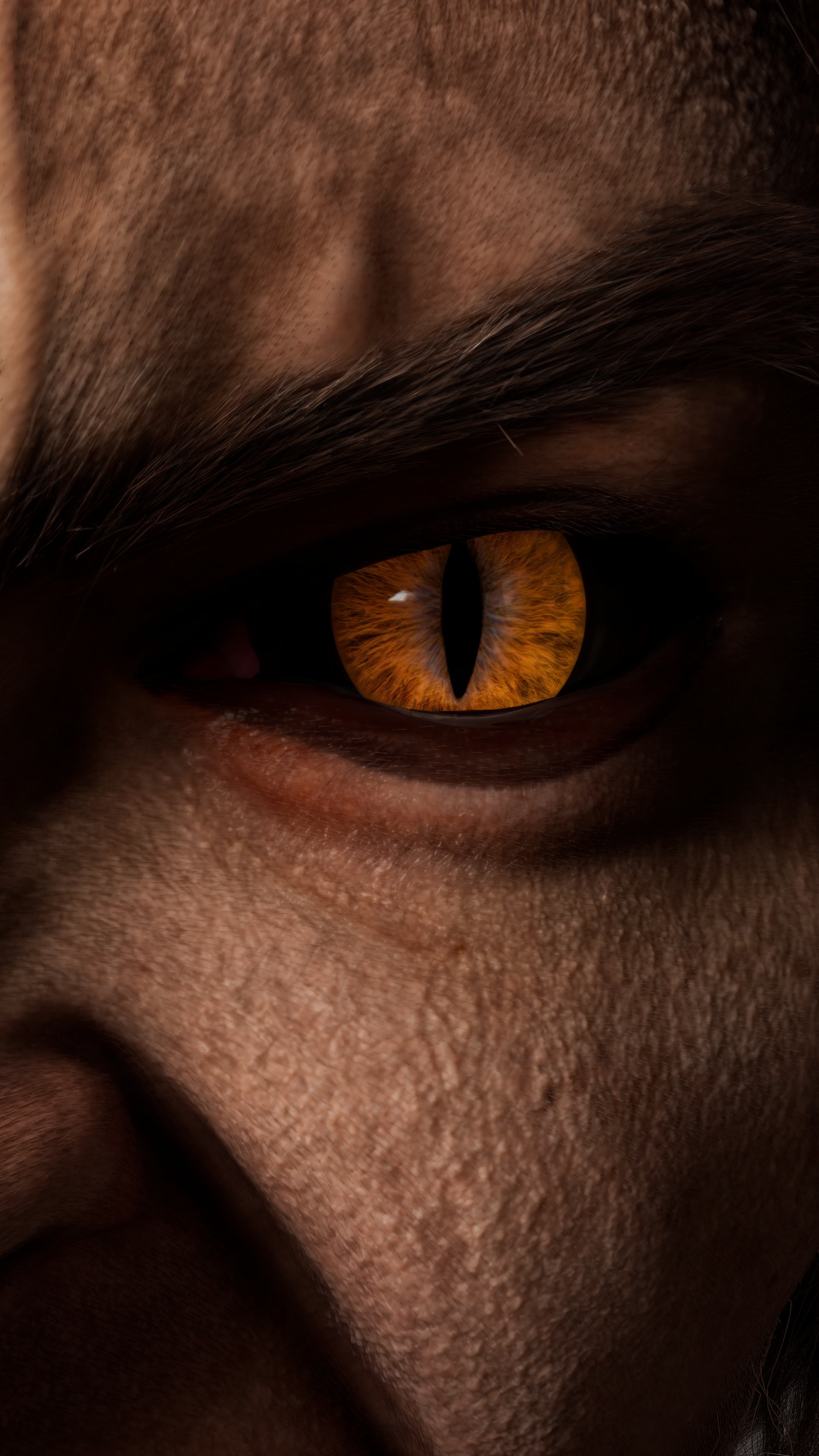 Eyes & Pores CloseUp