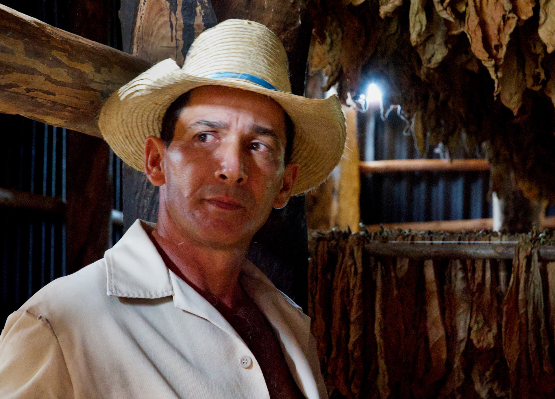 3rd Generation Tobacco Farmer, Valley Viñales