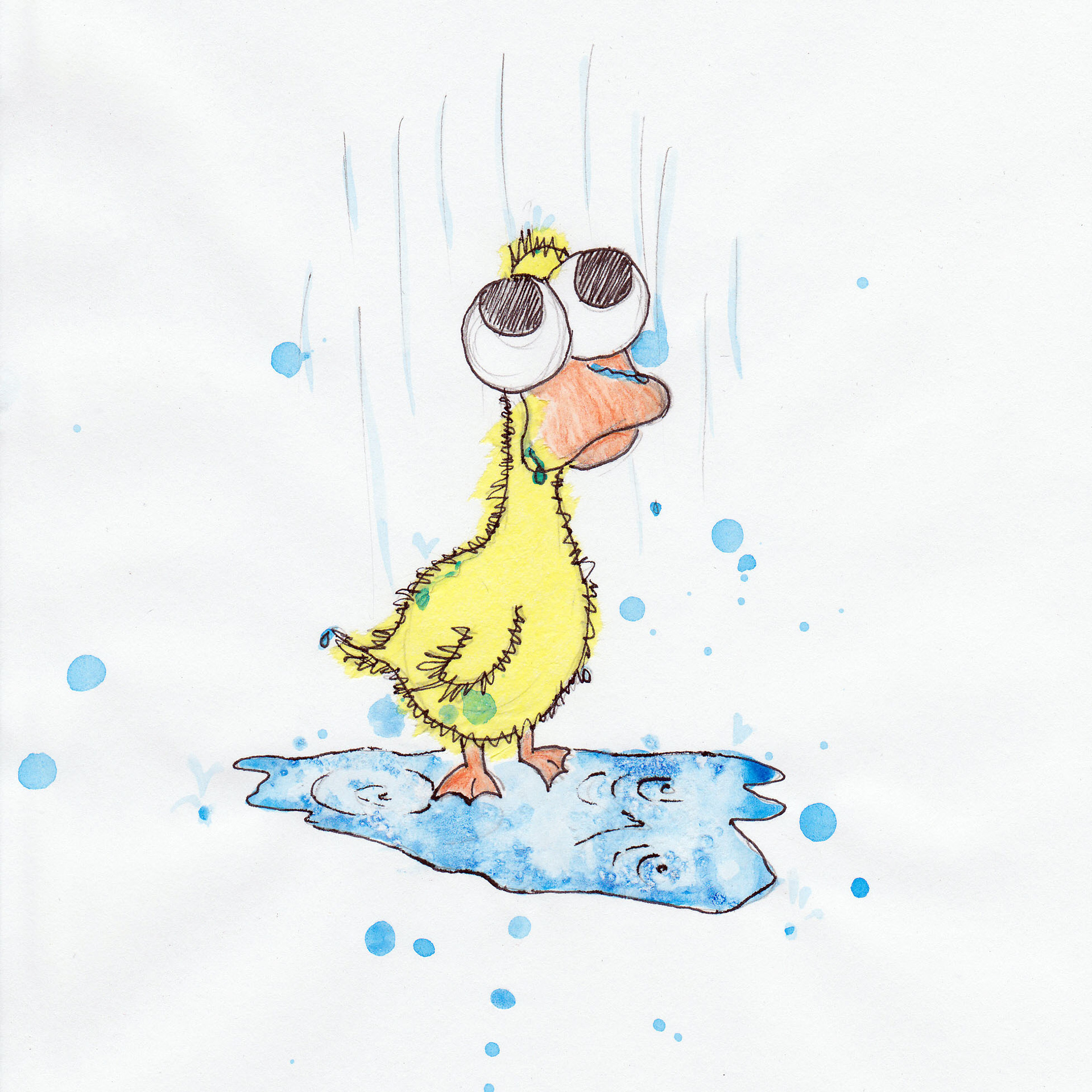 In for a Duck - Concept