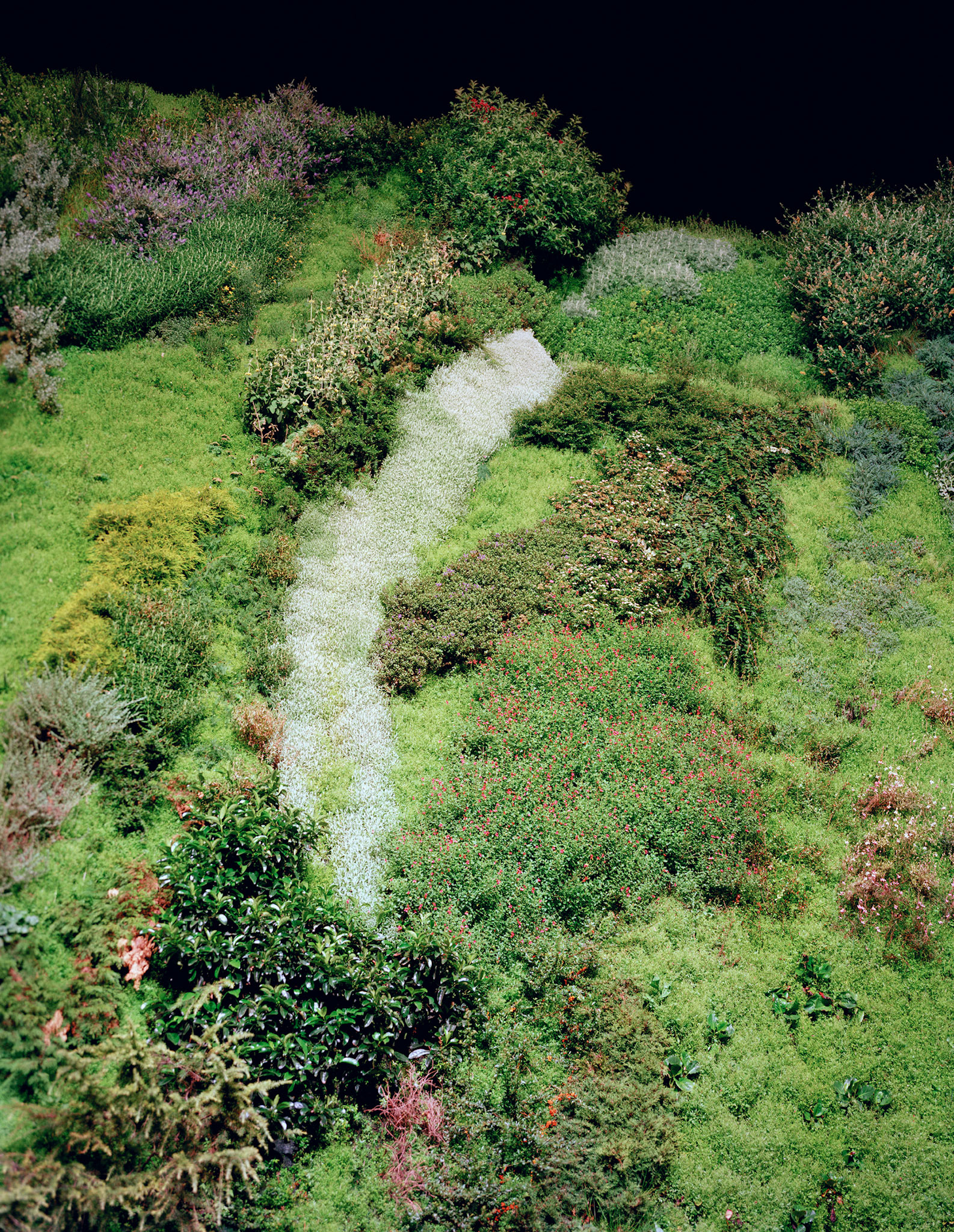 View the scenes #529 #Plant #Leaf #CE2008 #155x125cm