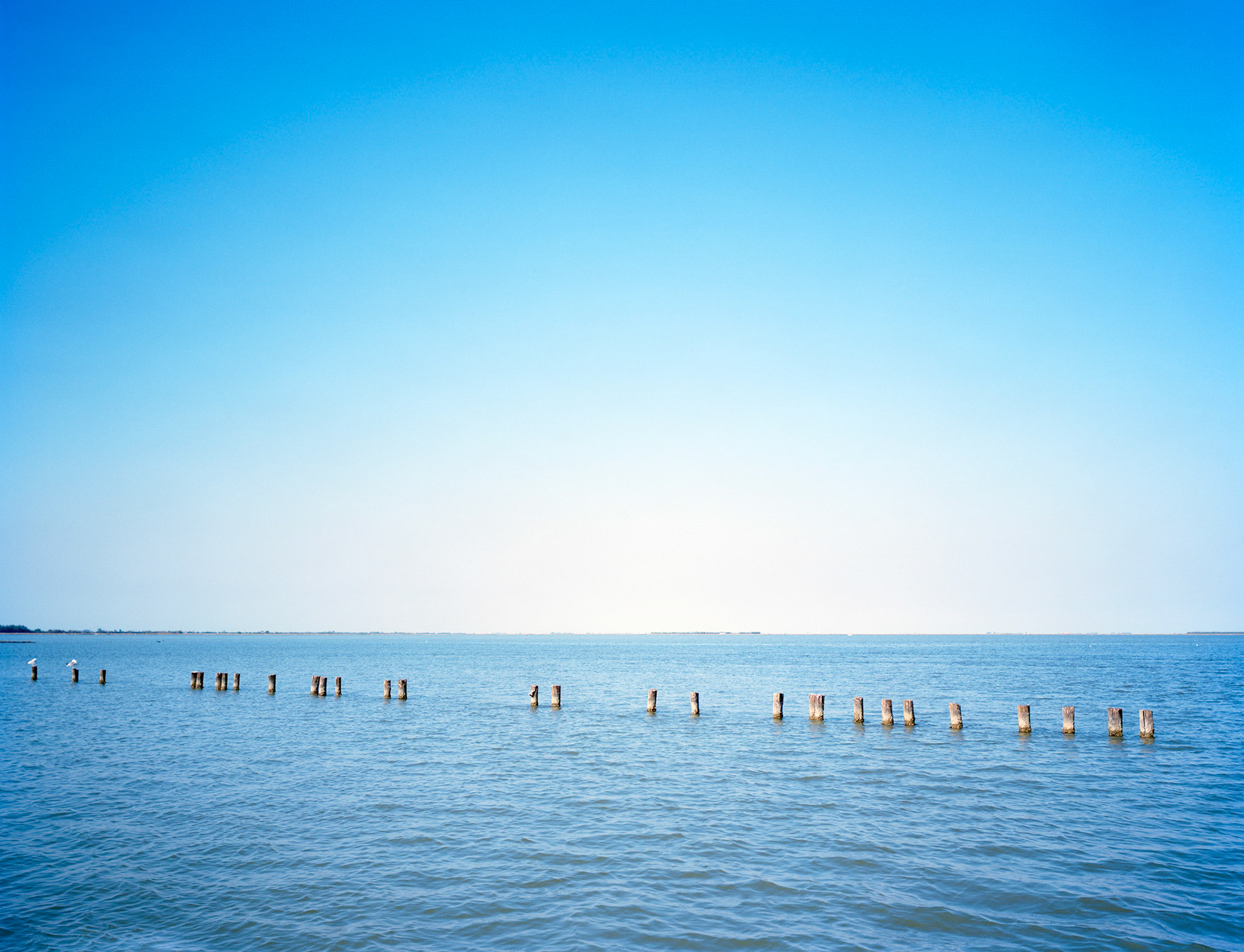 View the scenes #359 #See #Field #Death #Old War #Torcello #CE2007 #100x125cm