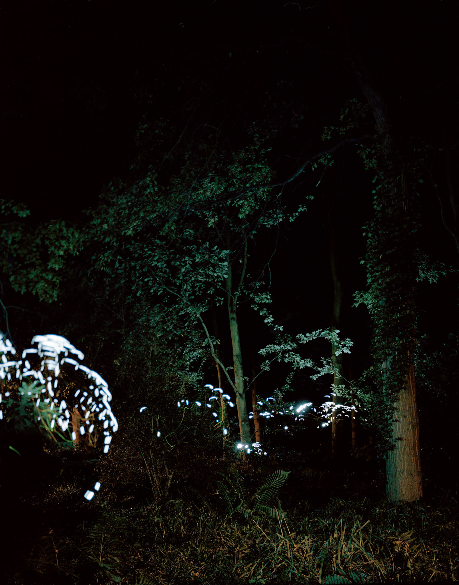 View the scenes #615 #Space #Outside #CE2009 #125x100cm