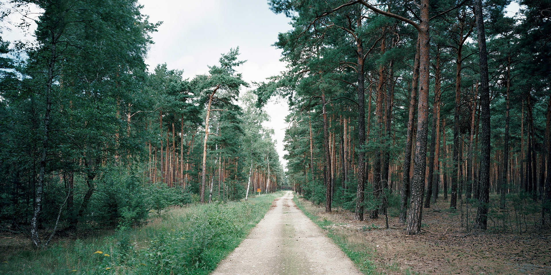 View the scenes #744 #Field #Death #WWII #Halbe #CE2011 #60x120cm