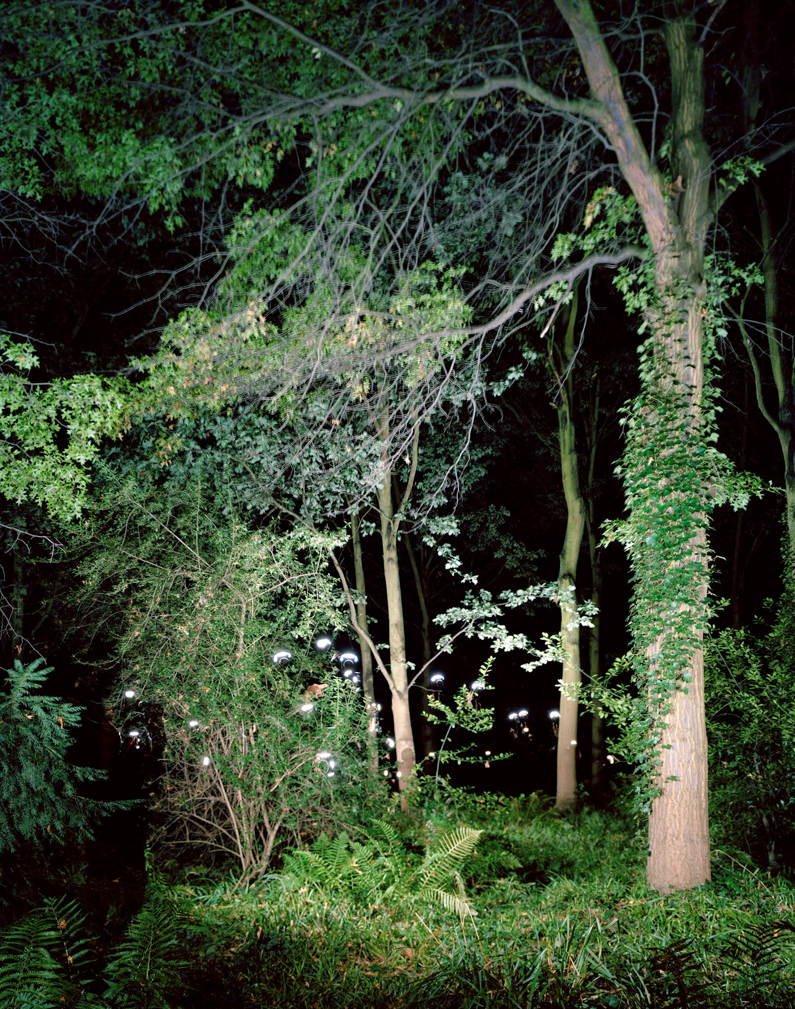 View the scenes #618 #Space #Outside #CE2009 #155x125cm