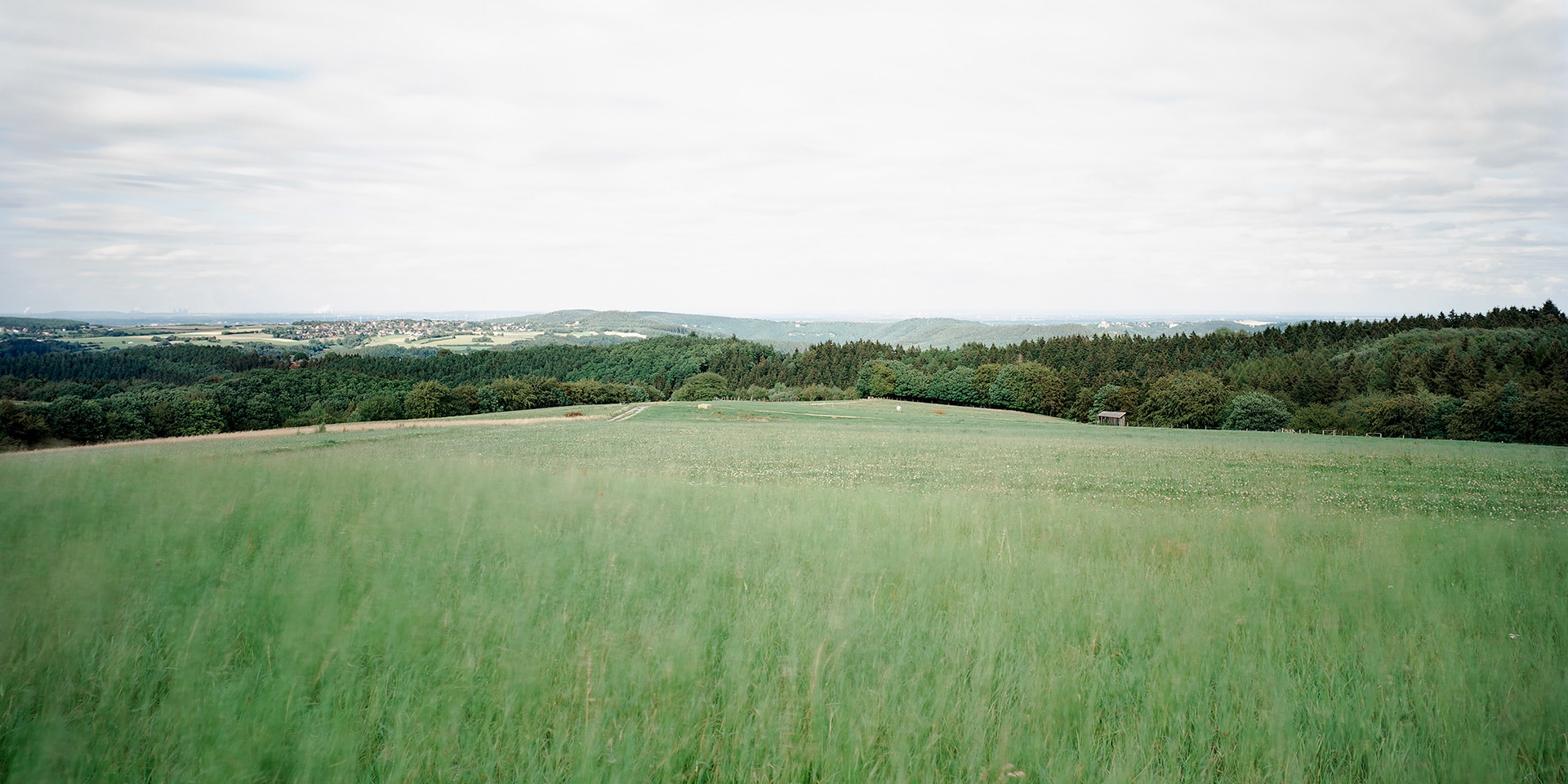 View the scenes #761 #Field #Death #WWII #Huertgenwald #CE2011 #60x120cm