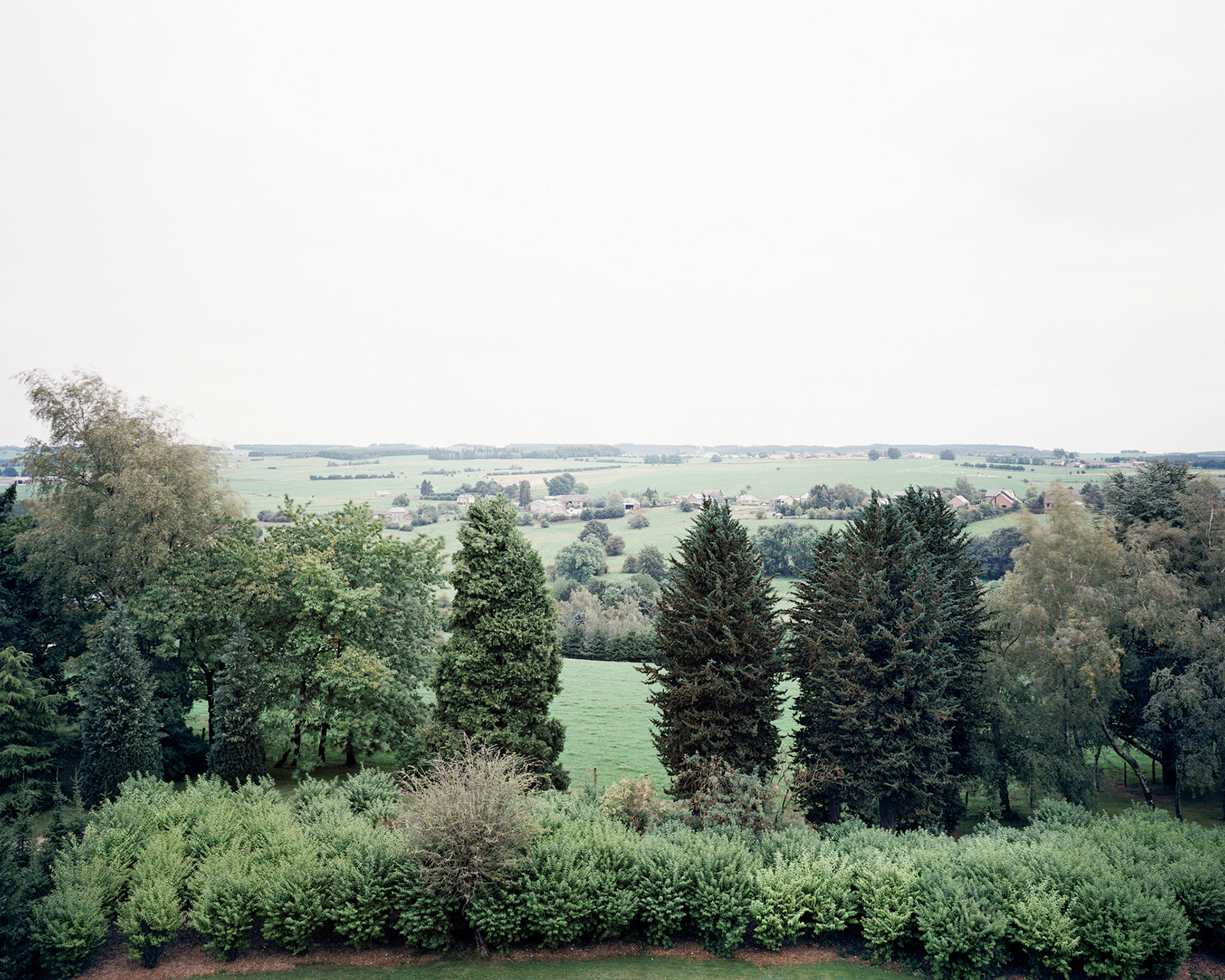 View the scenes #771 #Field #Death #WWII #Bastogne #CE2011 #80x100cm