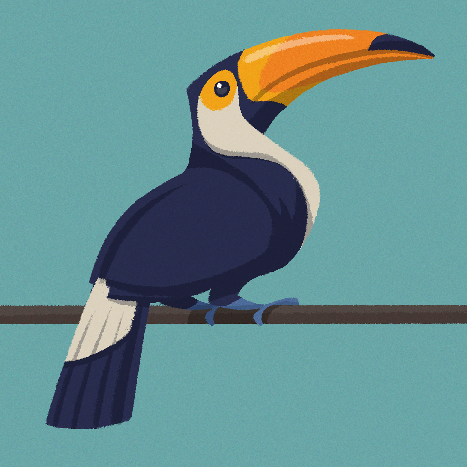 Toucan