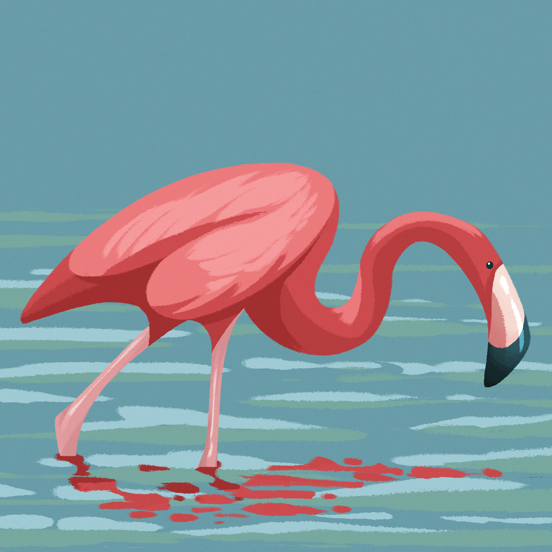 Flamingo
