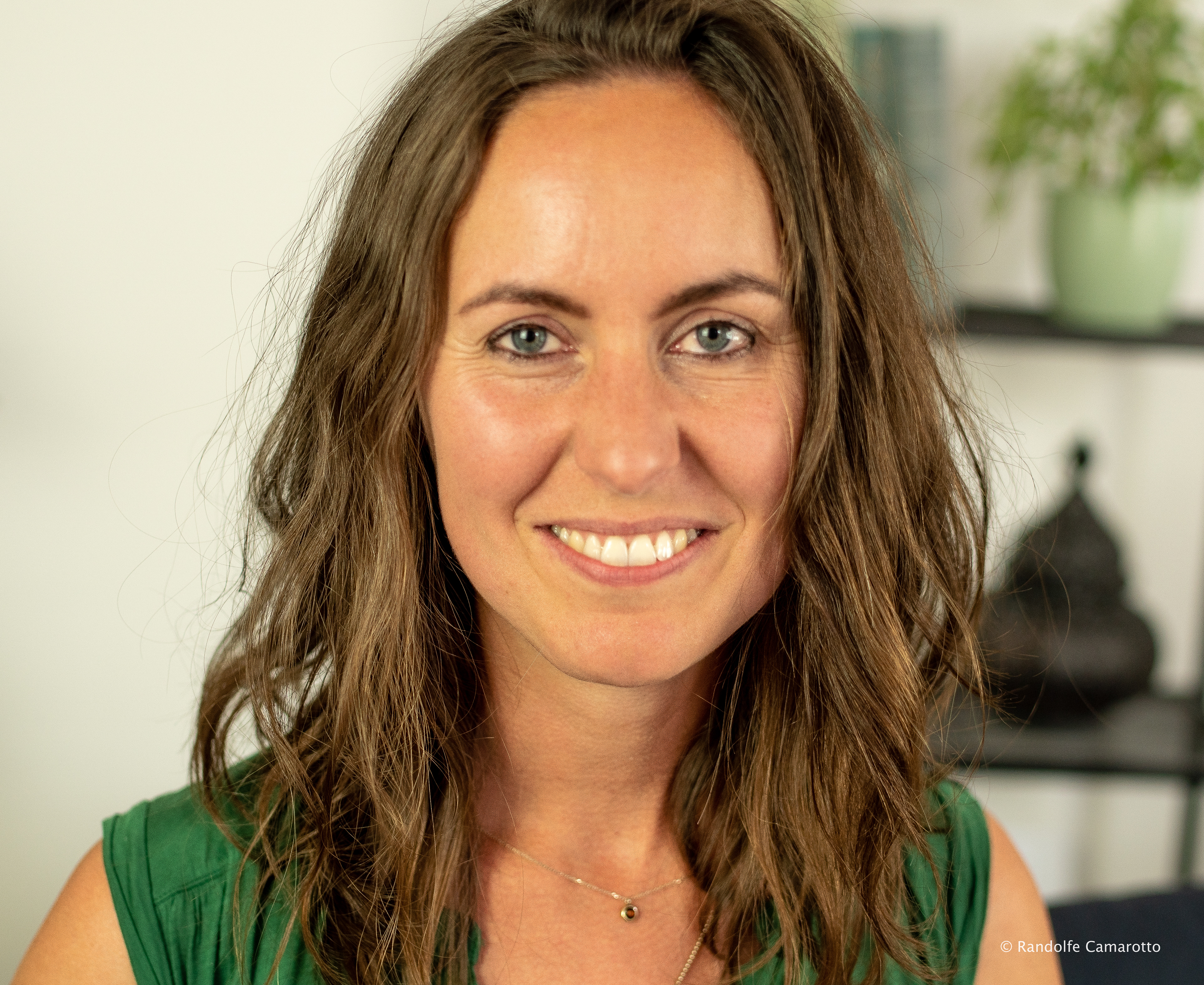 Portraits to FILU's website